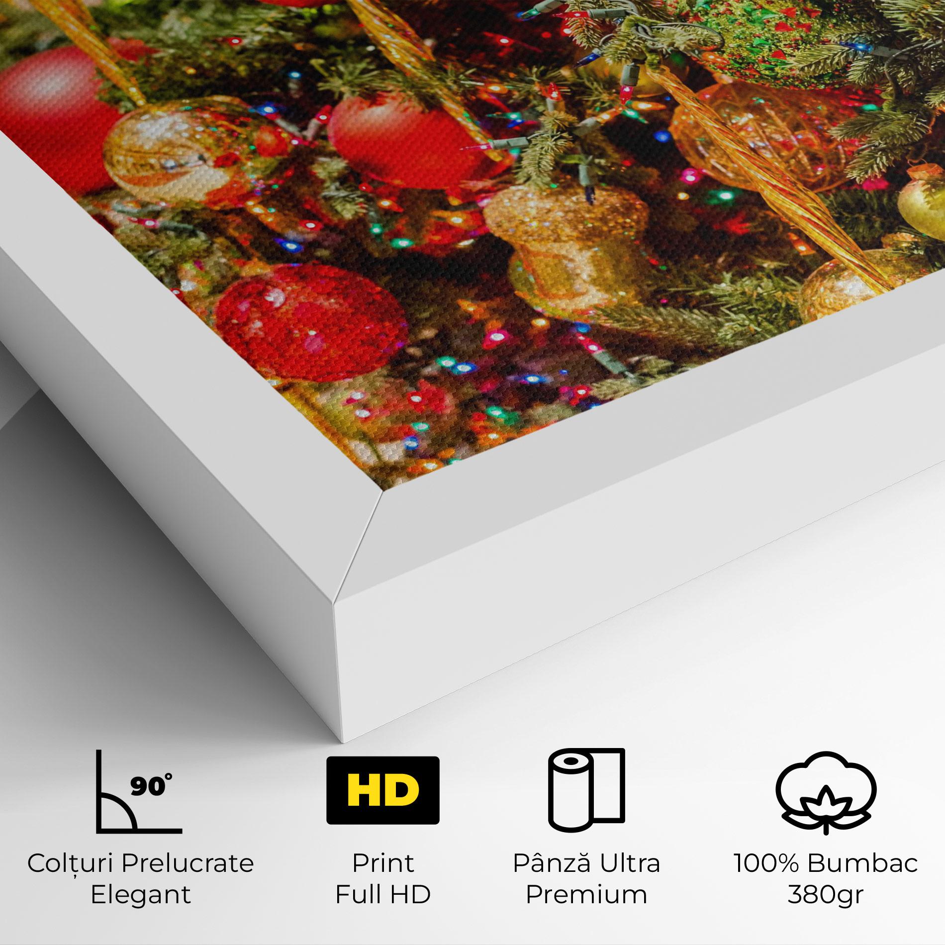 Tablou Canvas Multicolor Ornaments mockup 4