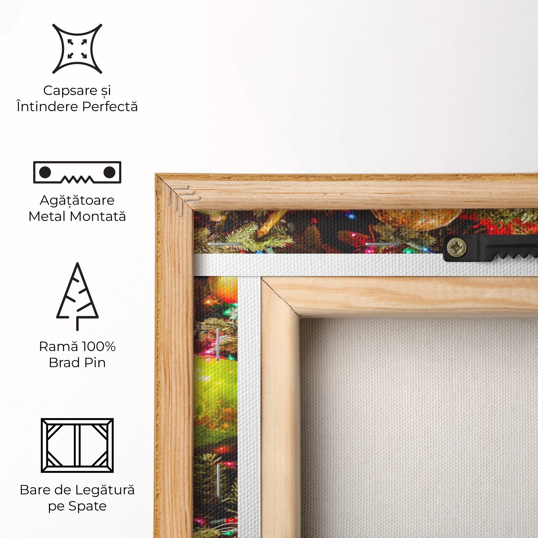 Tablou Canvas Multicolor Ornaments mockup 5