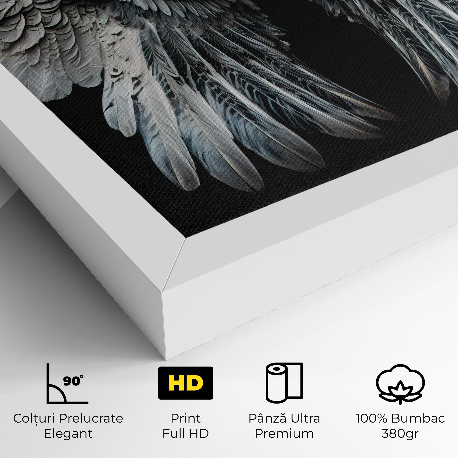 Big Angel Wings mockup 4