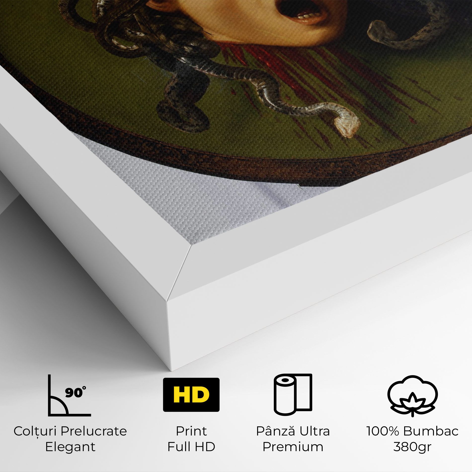 Caravaggio Medusa mockup 4