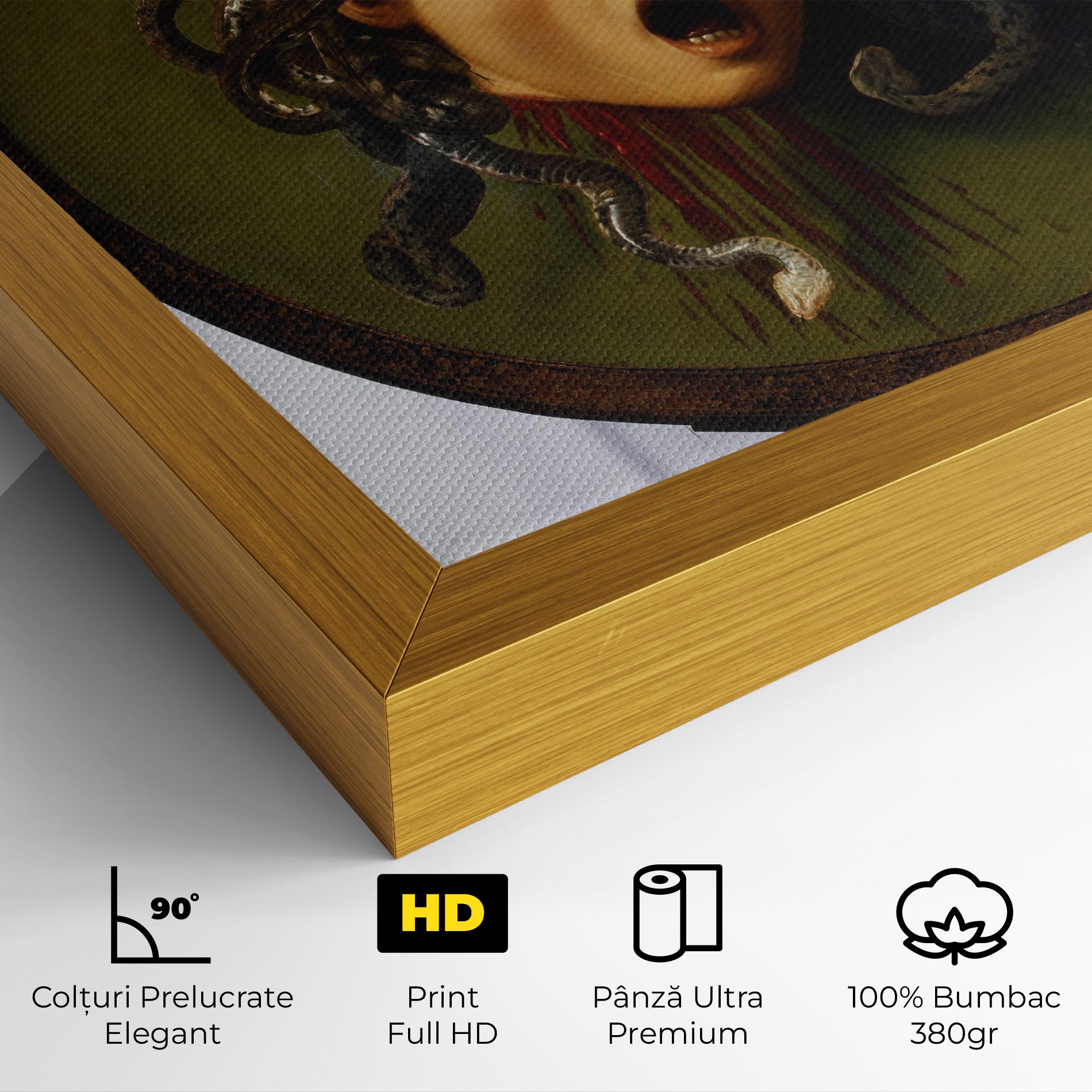 Tablou Canvas Caravaggio Medusa mockup 4