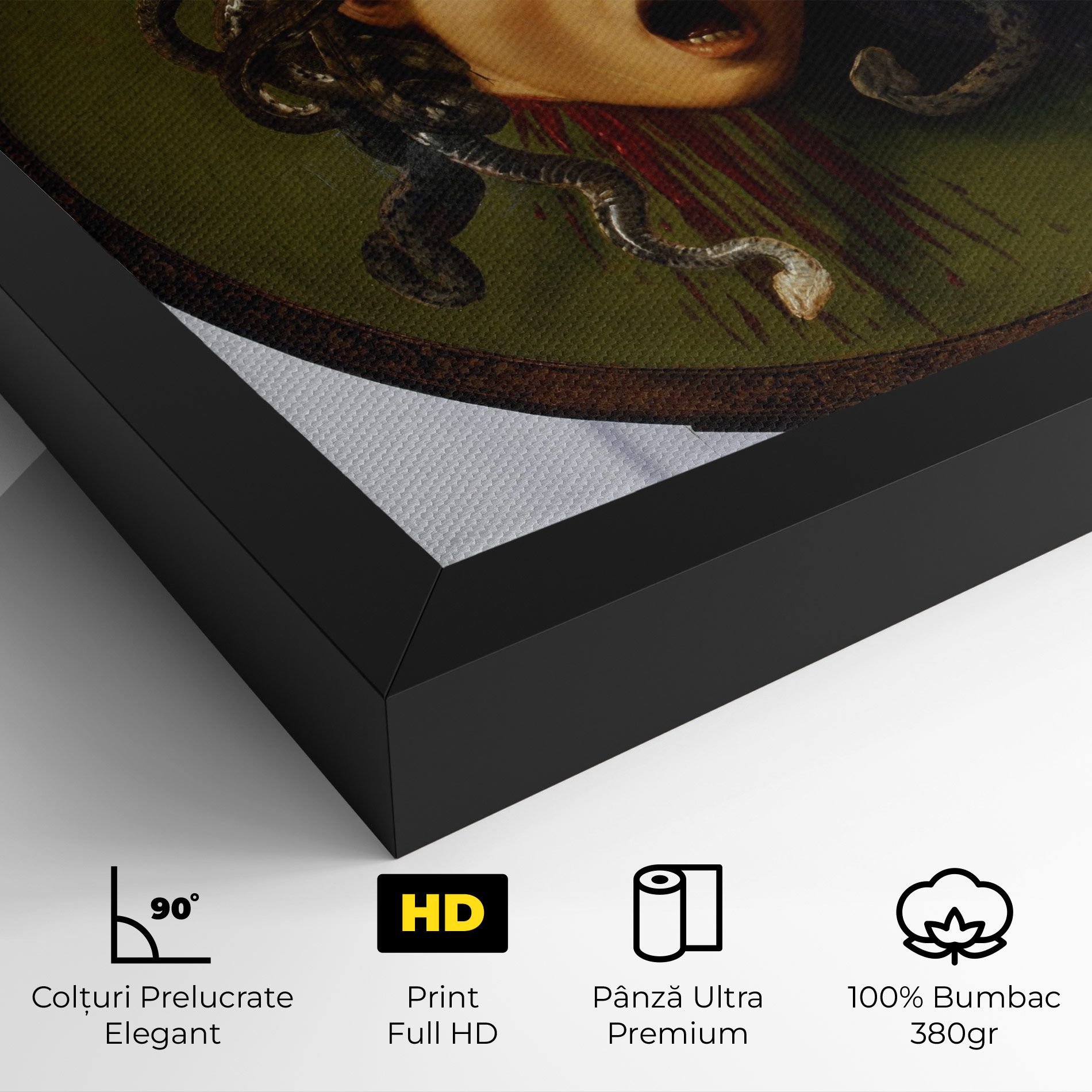 Caravaggio Medusa mockup 4