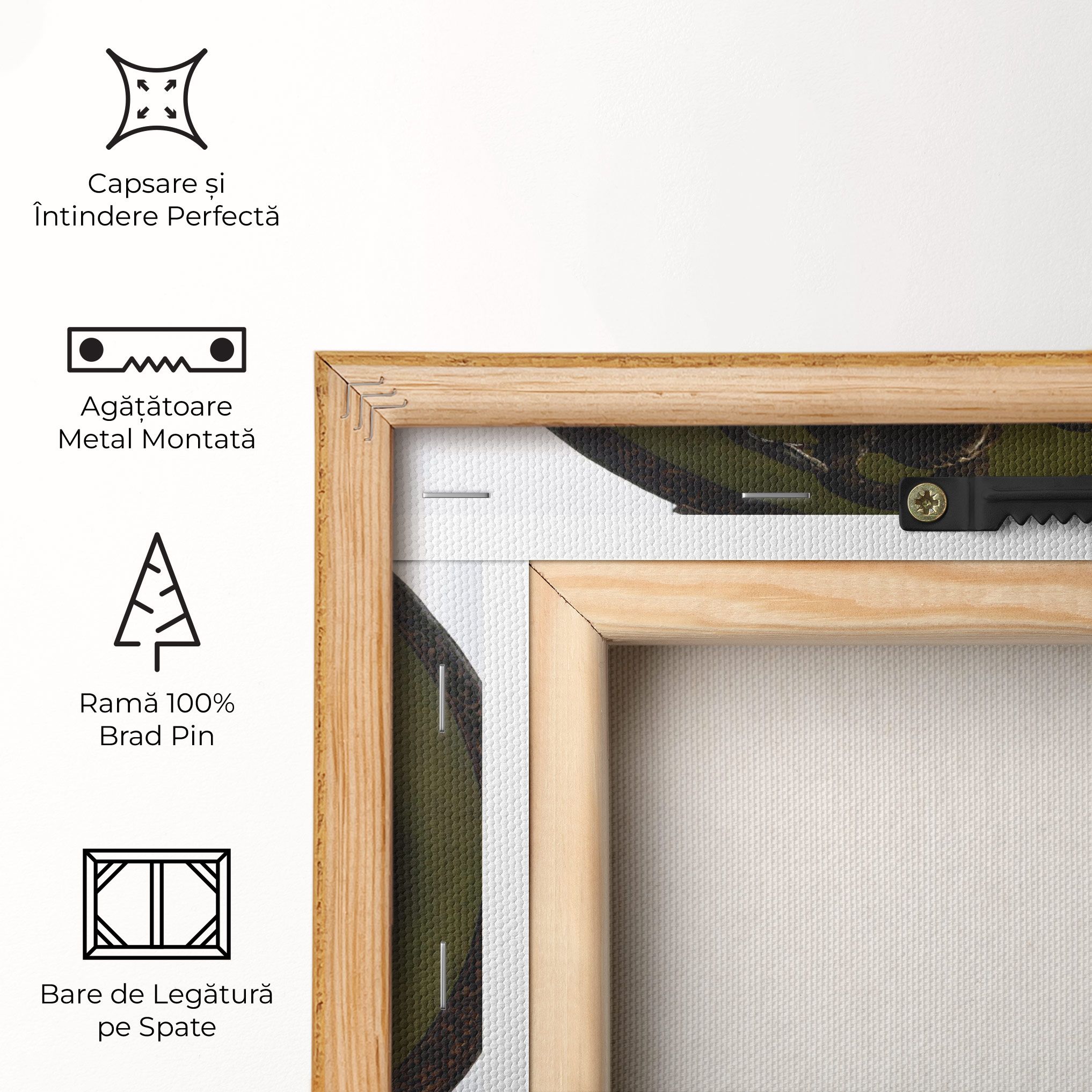 Caravaggio Medusa mockup 5