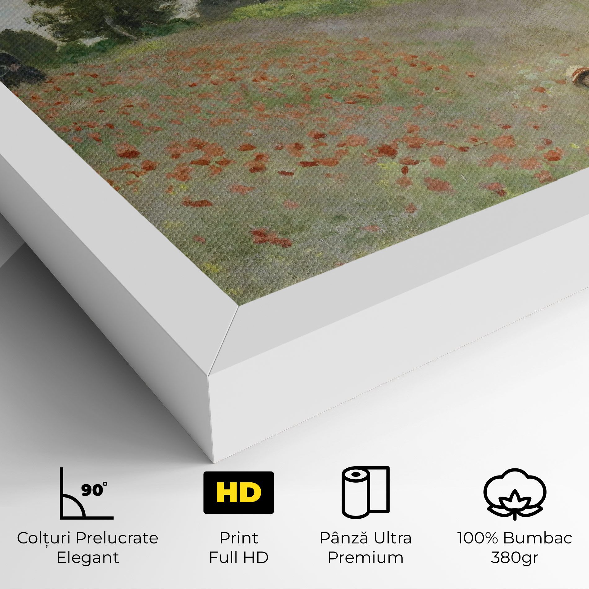 Poppy Field Near Argenteuil mockup 4