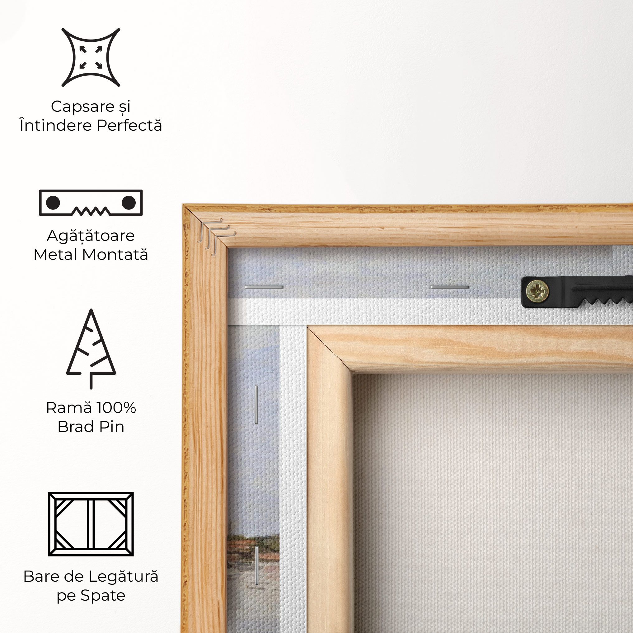 Houses On The Achterzaan mockup 5