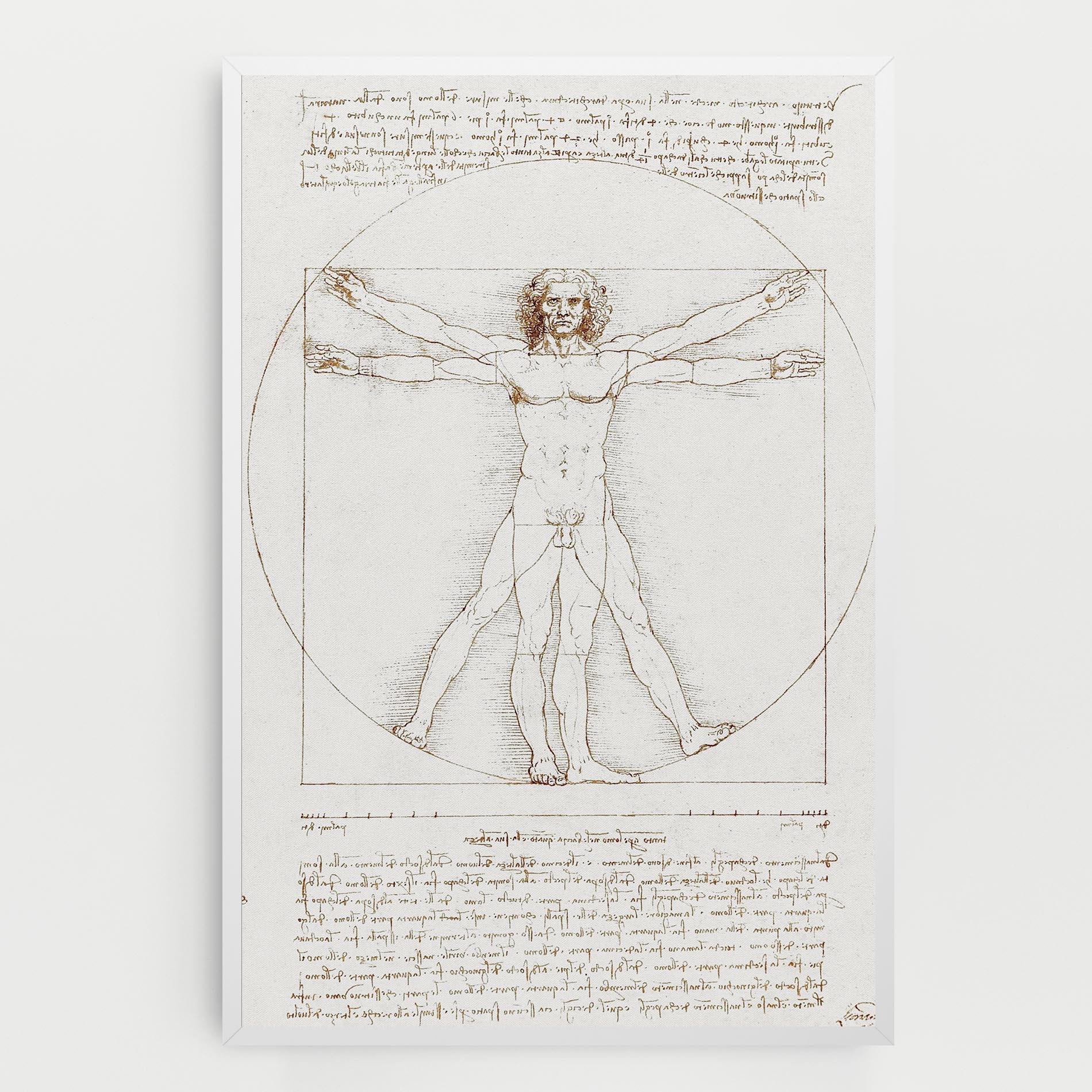 Tablou Canvas Leonardo Da Vinci's Vitruvian Man mockup 0