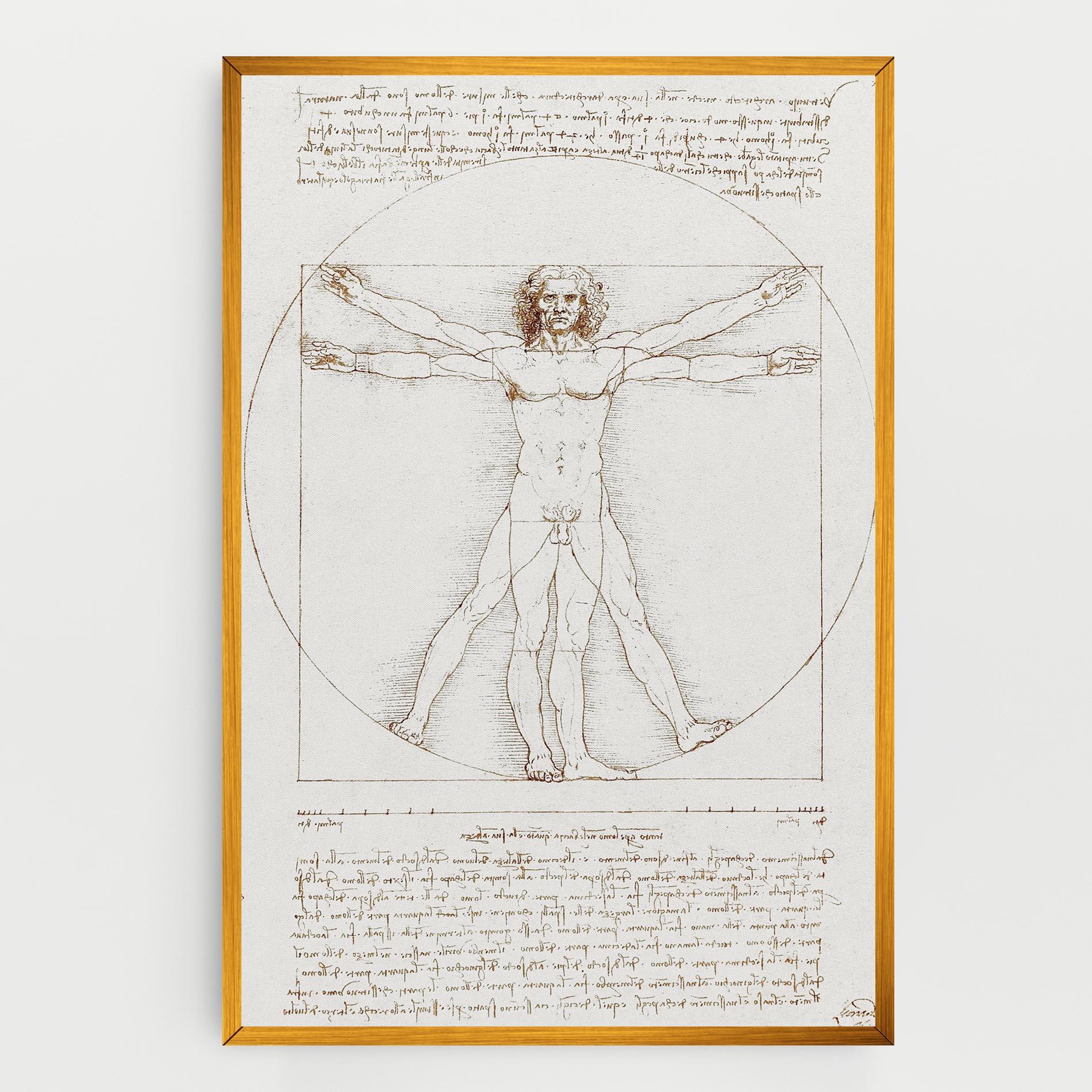 Tablou Canvas Leonardo Da Vinci's Vitruvian Man mockup 0