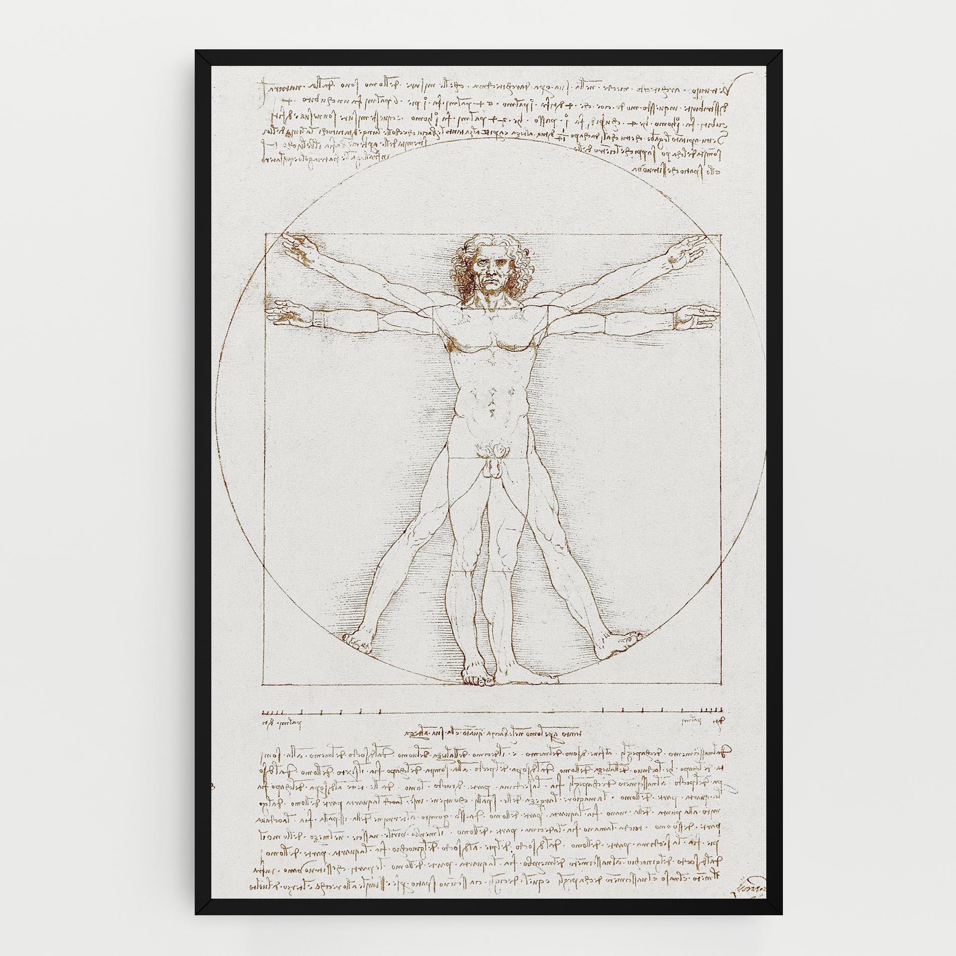 Tablou Canvas Leonardo Da Vinci's Vitruvian Man mockup 0