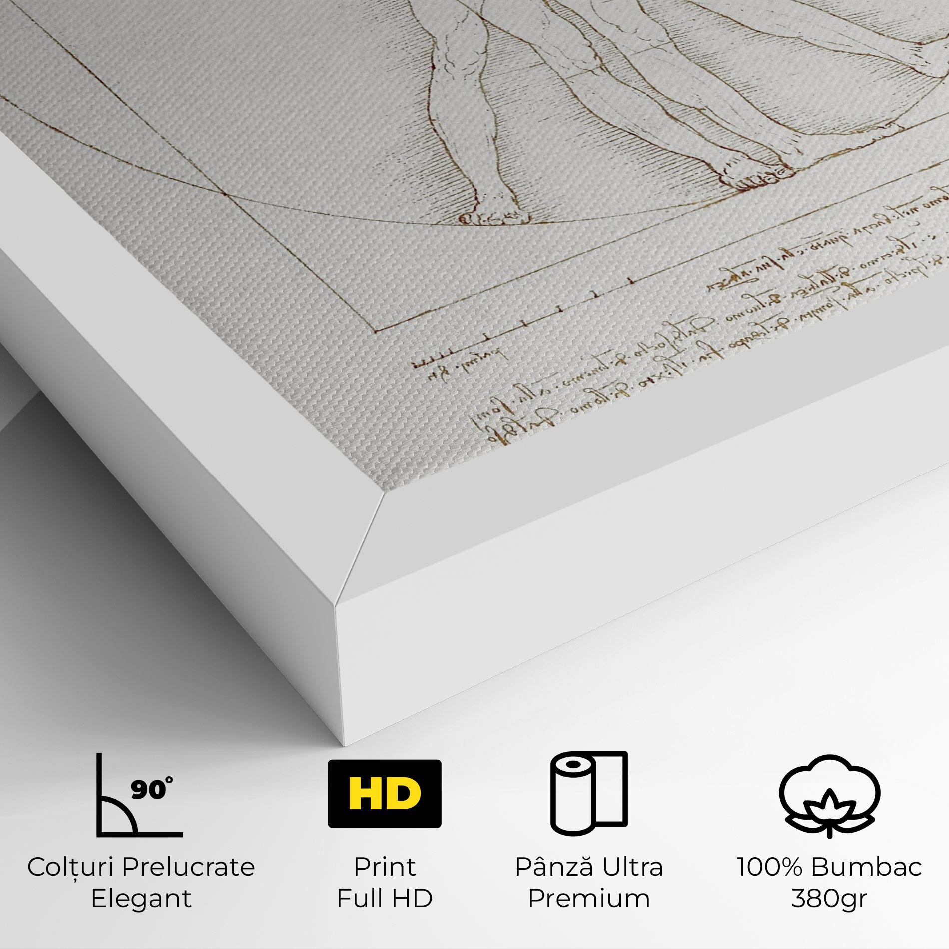 Tablou Canvas Leonardo Da Vinci's Vitruvian Man mockup 4