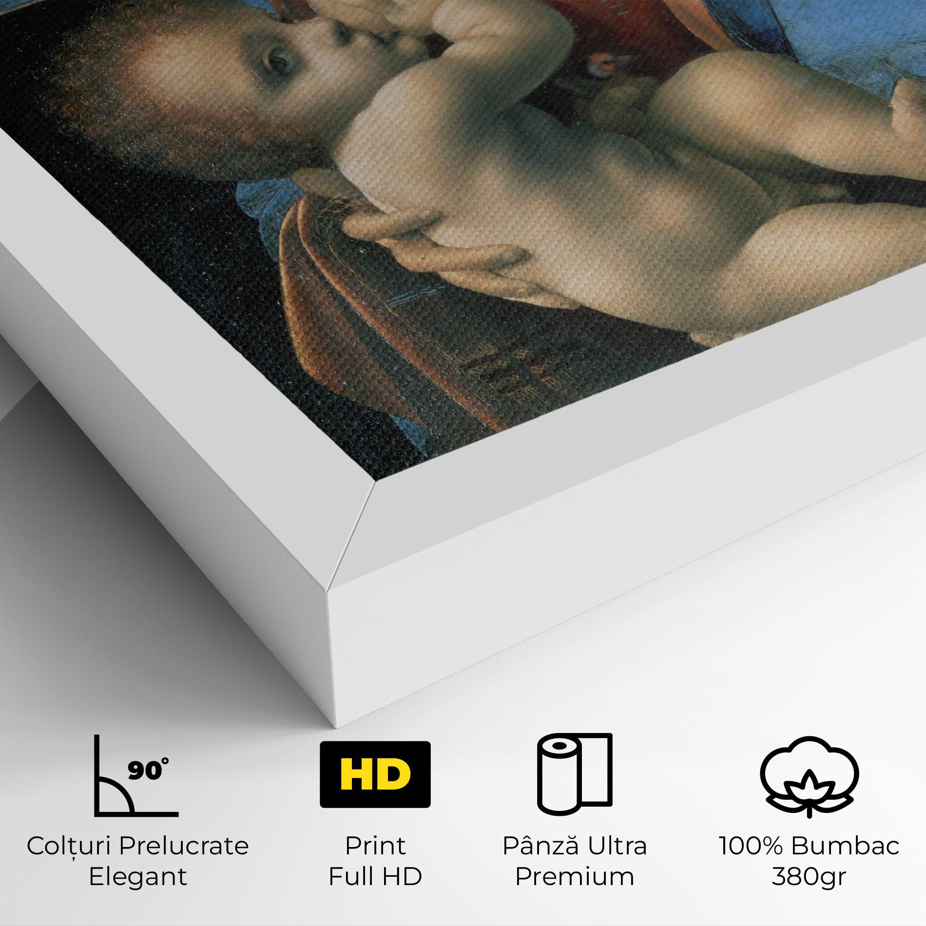 Tablou Canvas Leonardo Da Vinci Attributed Madonna Litta mockup 4