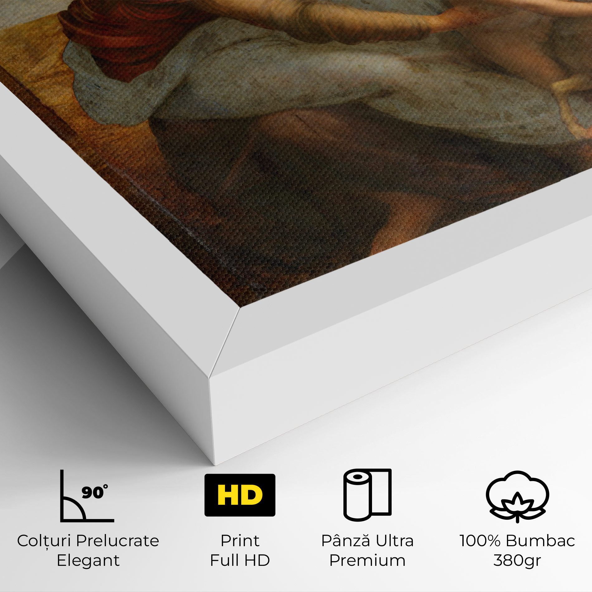 Leonardo Da Vinci Virgin And Child With St Anne mockup 4