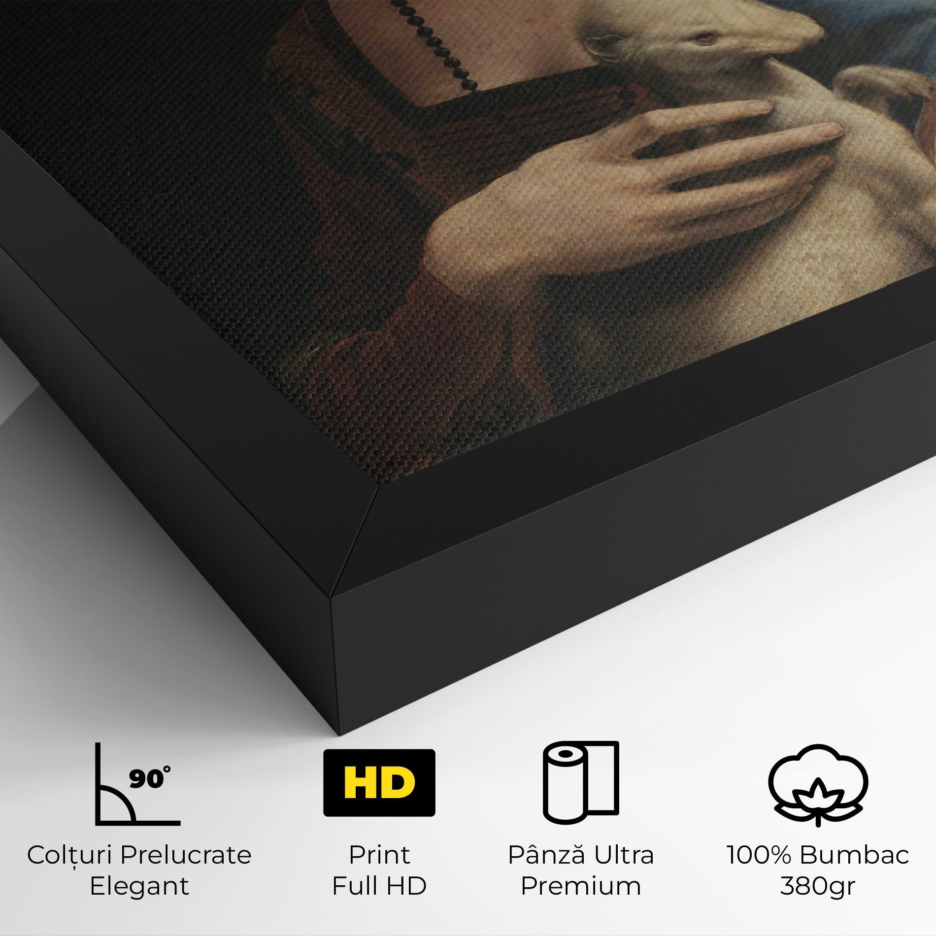 Lady With An Ermine Leonardo Da Vinci mockup 4