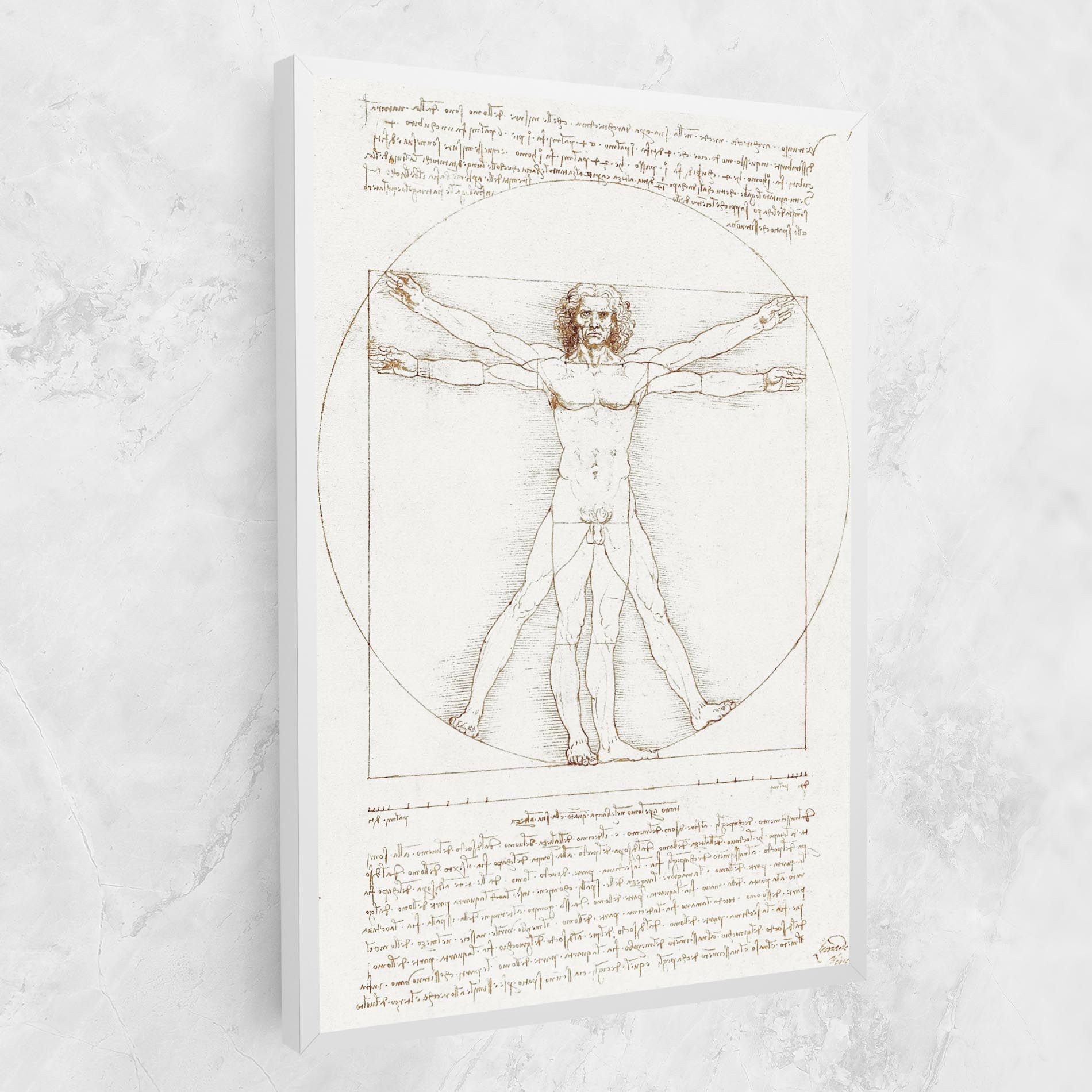 Leonardo Da Vinci's Vitruvian Man mockup 1