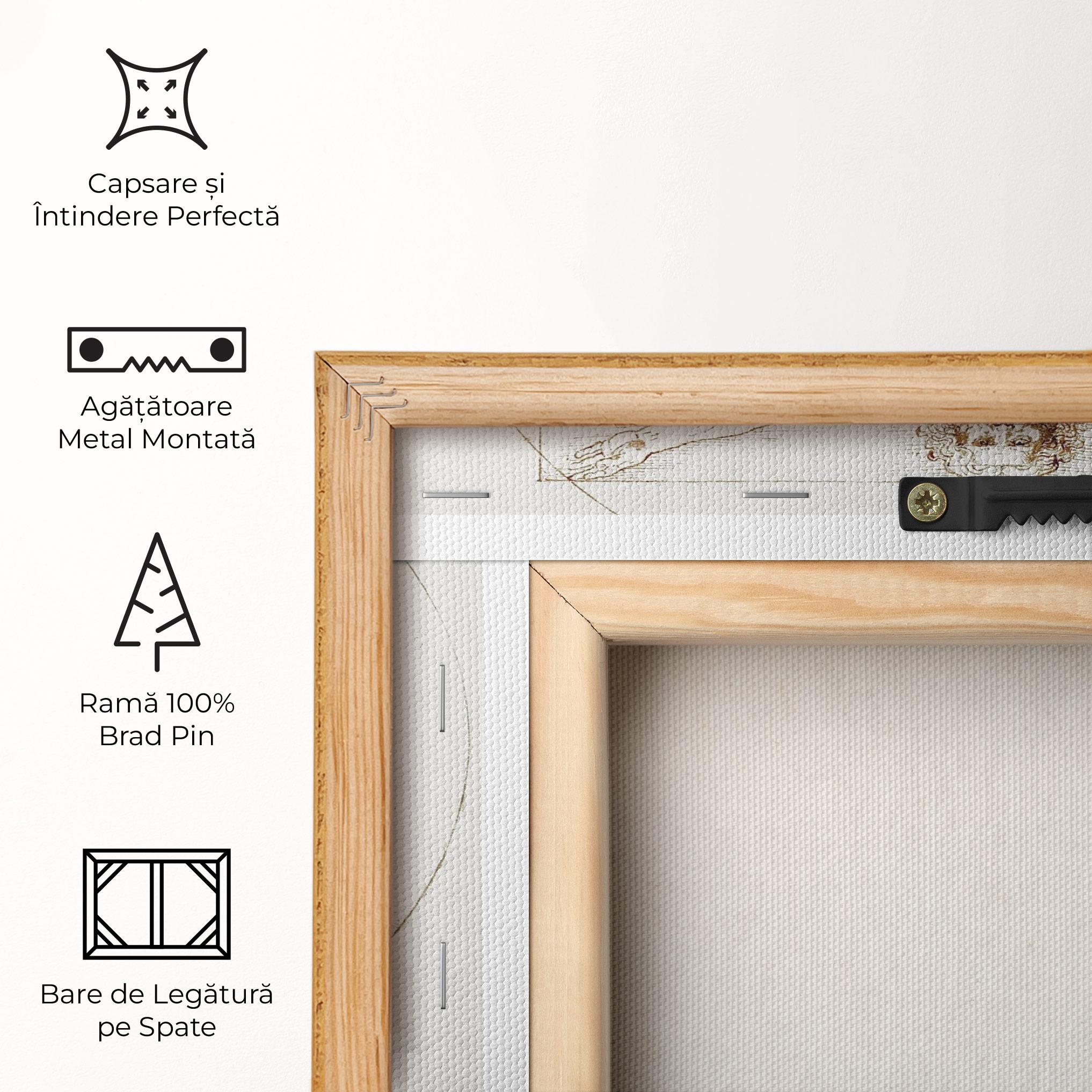 Tablou Canvas Leonardo Da Vinci's Vitruvian Man mockup 5