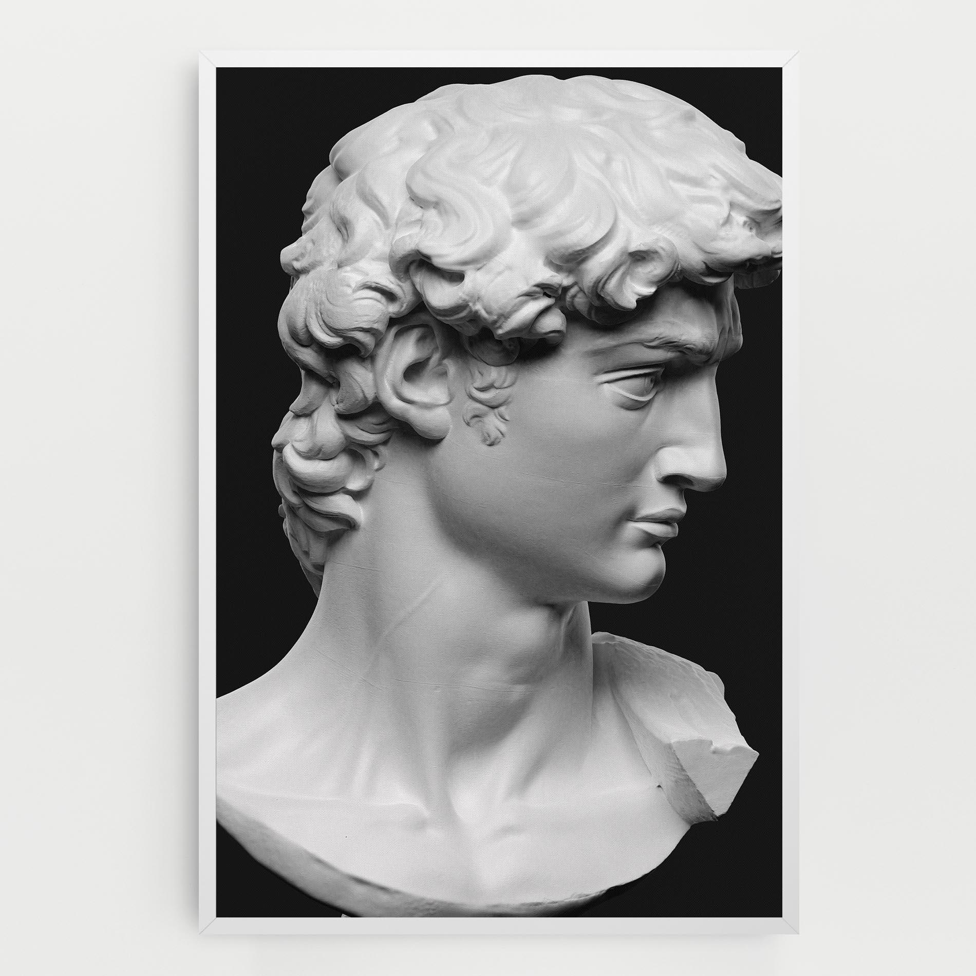 Tablou Canvas David Head mockup 0