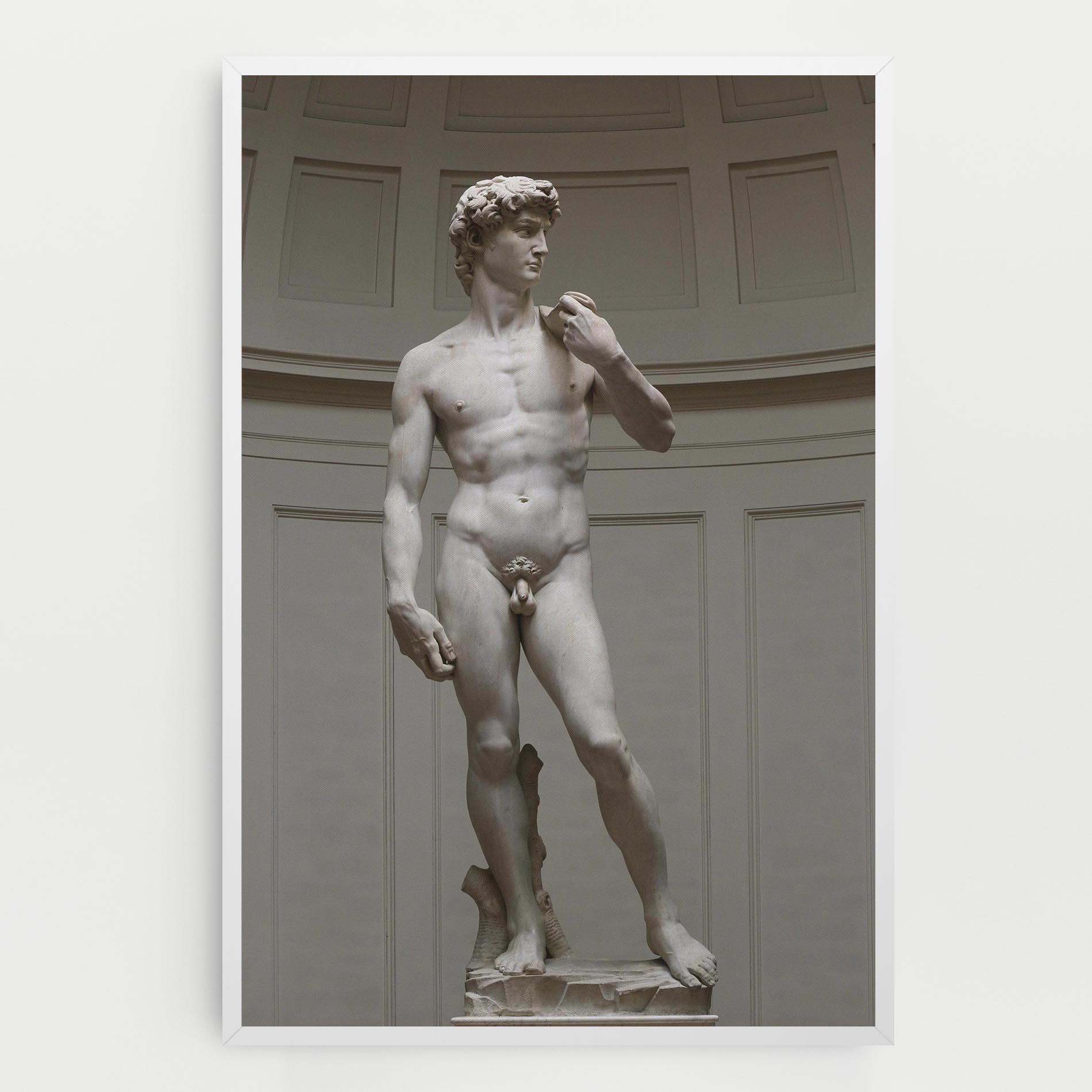 Tablou Canvas Michelangelo Statue mockup 0