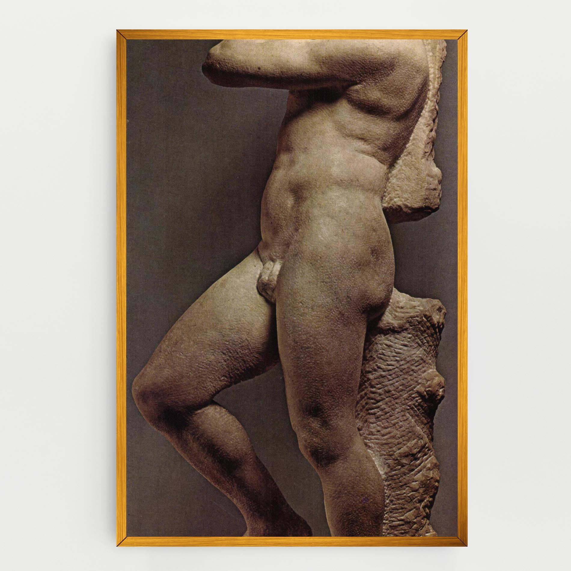 Tablou Canvas Apollino mockup 0