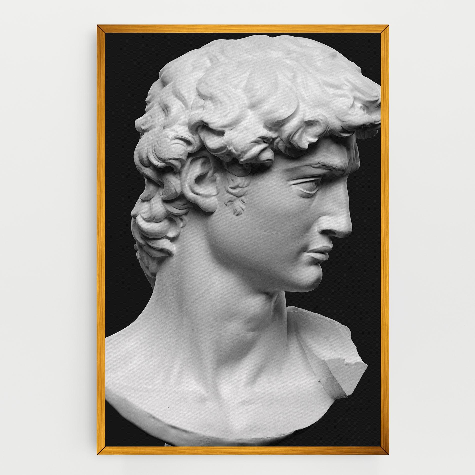 Tablou Canvas David Head mockup 0