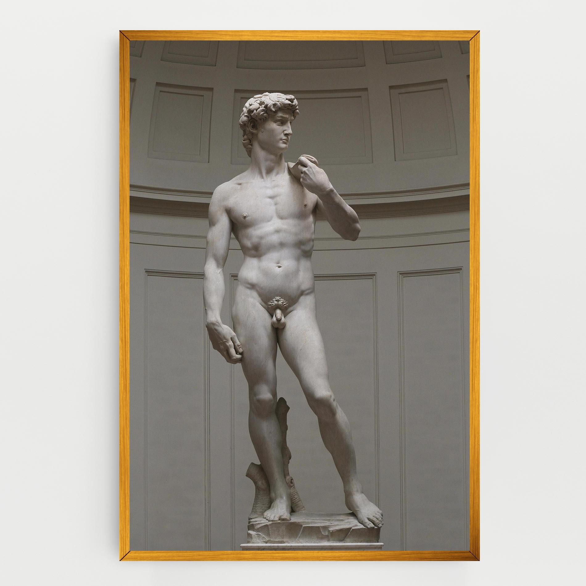 Tablou Canvas Michelangelo Statue mockup 0