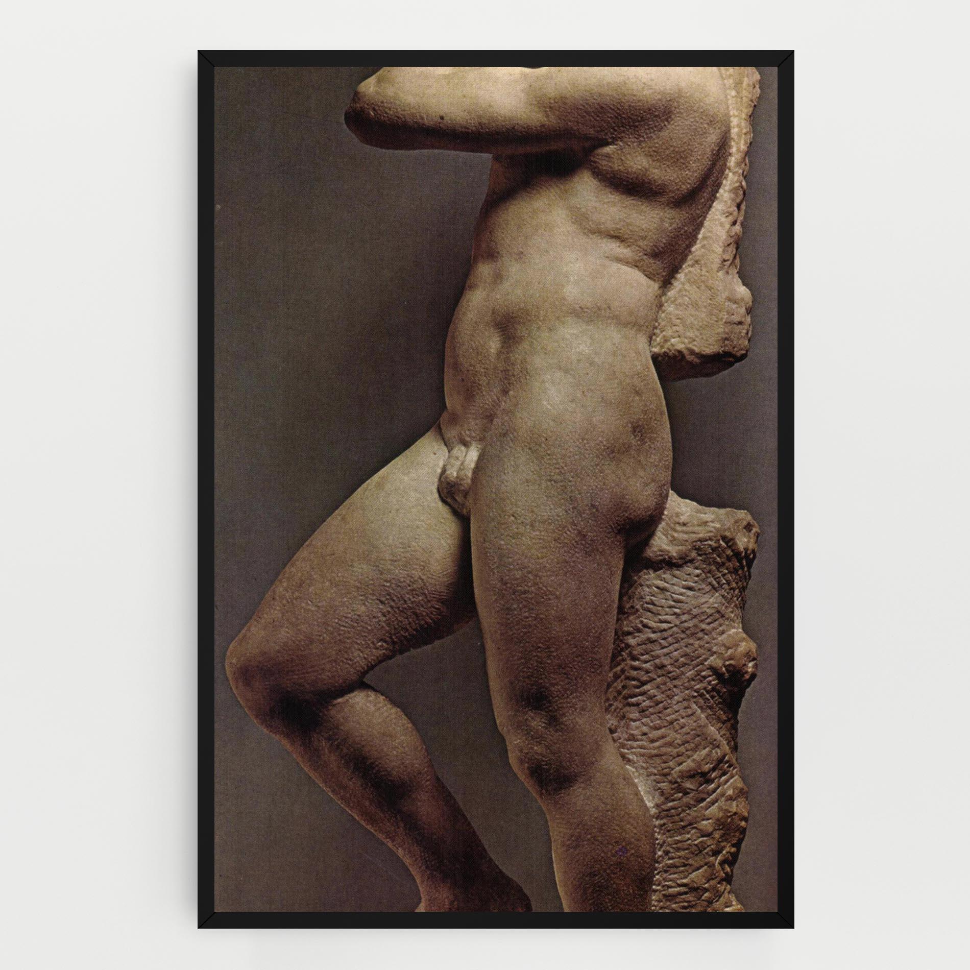 Tablou Canvas Apollino mockup 0