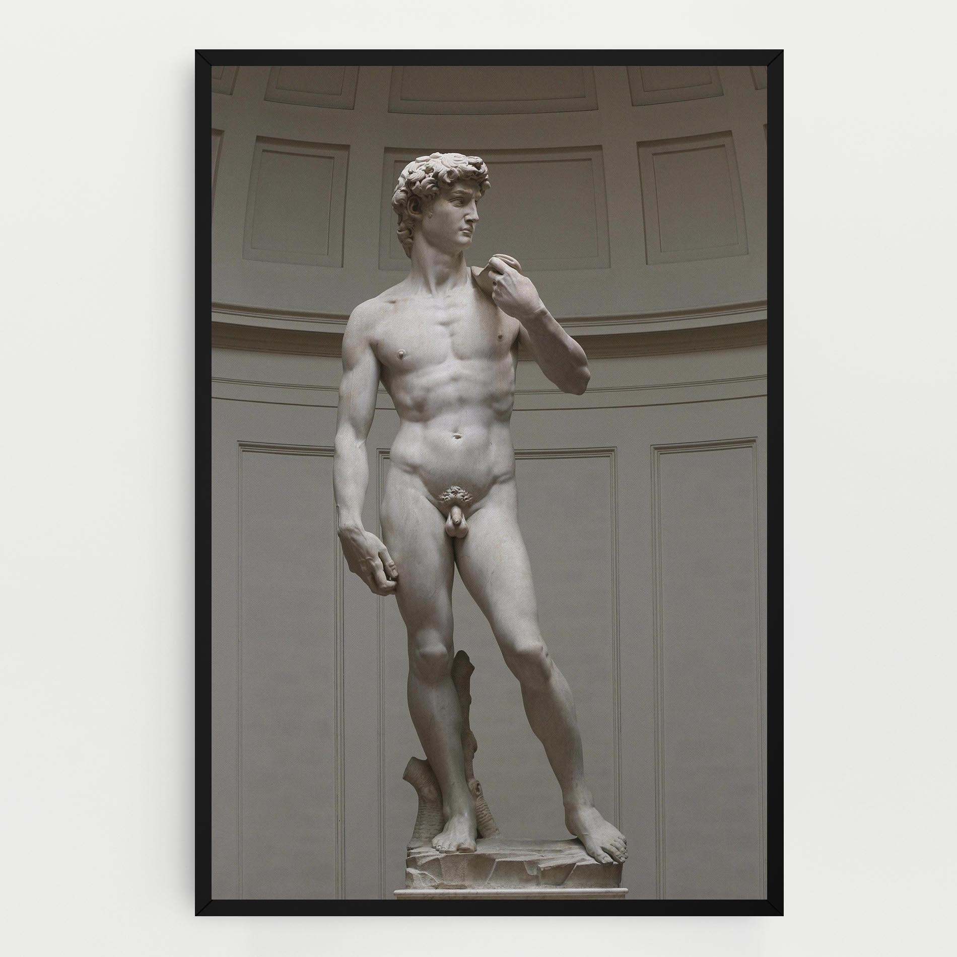 Tablou Canvas Michelangelo Statue mockup 0