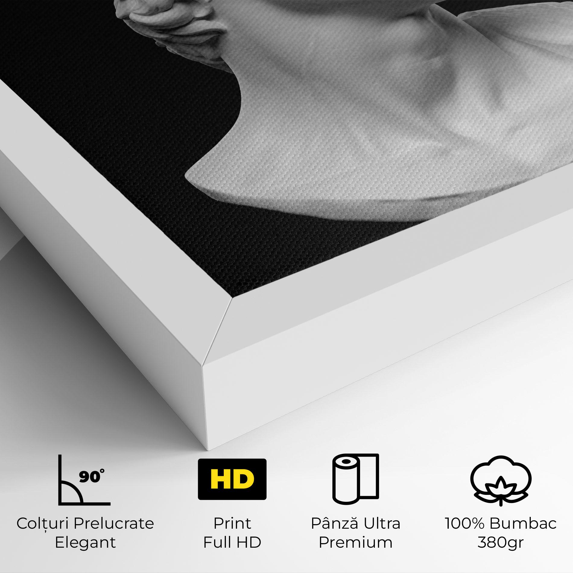 Tablou Canvas David Head mockup 4
