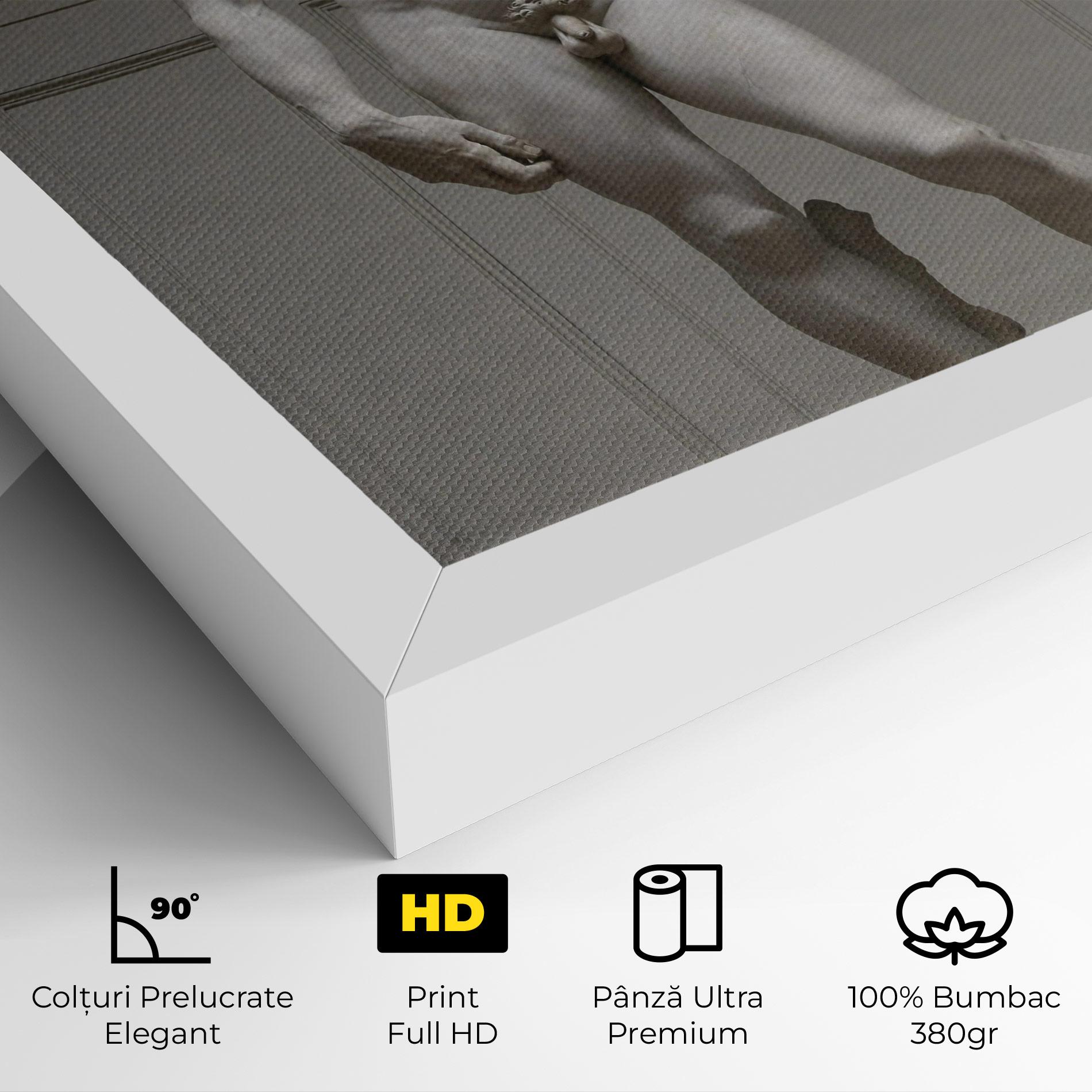 Tablou Canvas Michelangelo Statue mockup 4