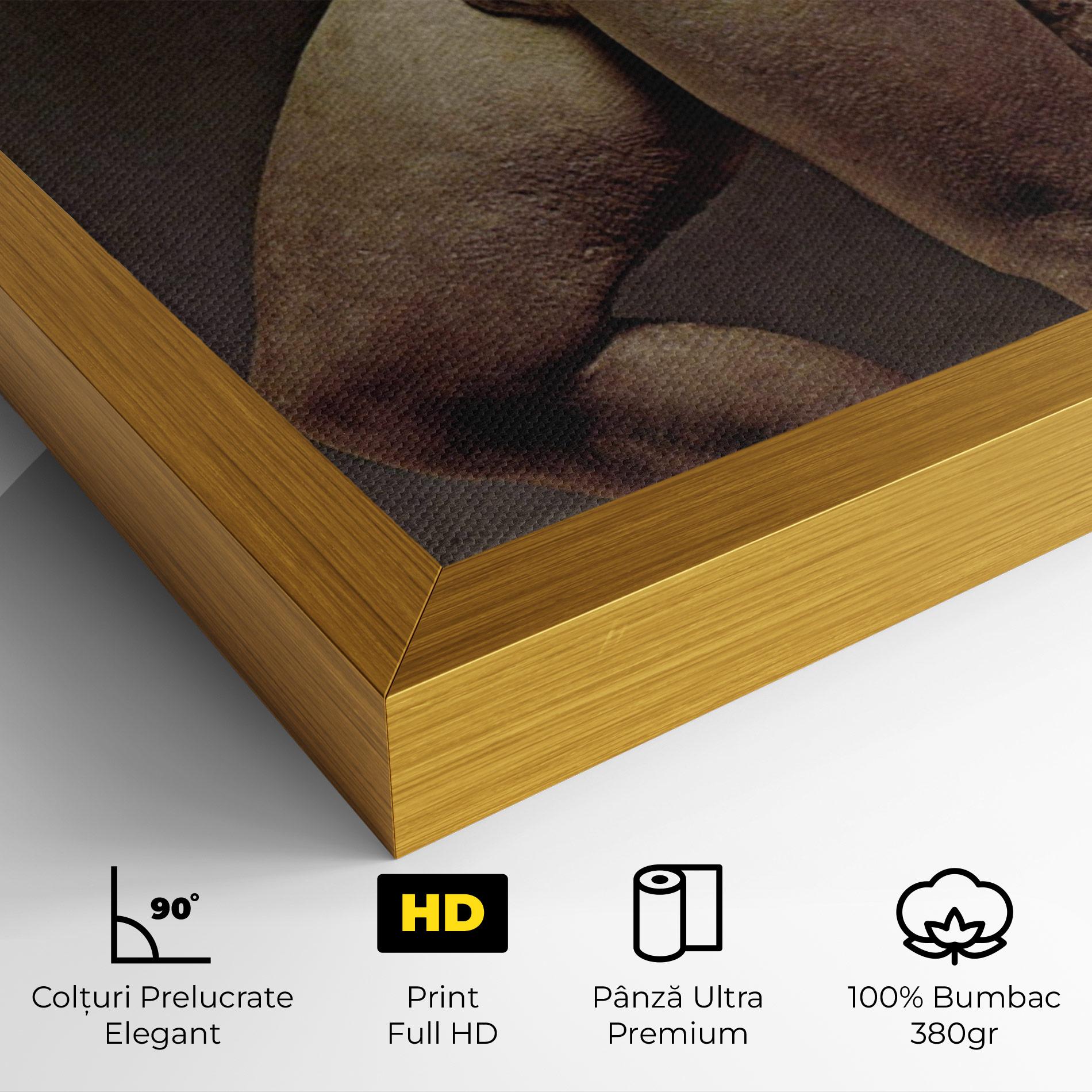 Tablou Canvas Apollino mockup 4