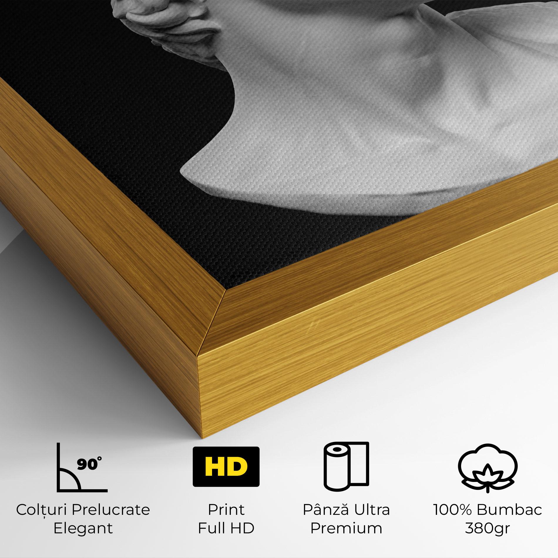 Tablou Canvas David Head mockup 4