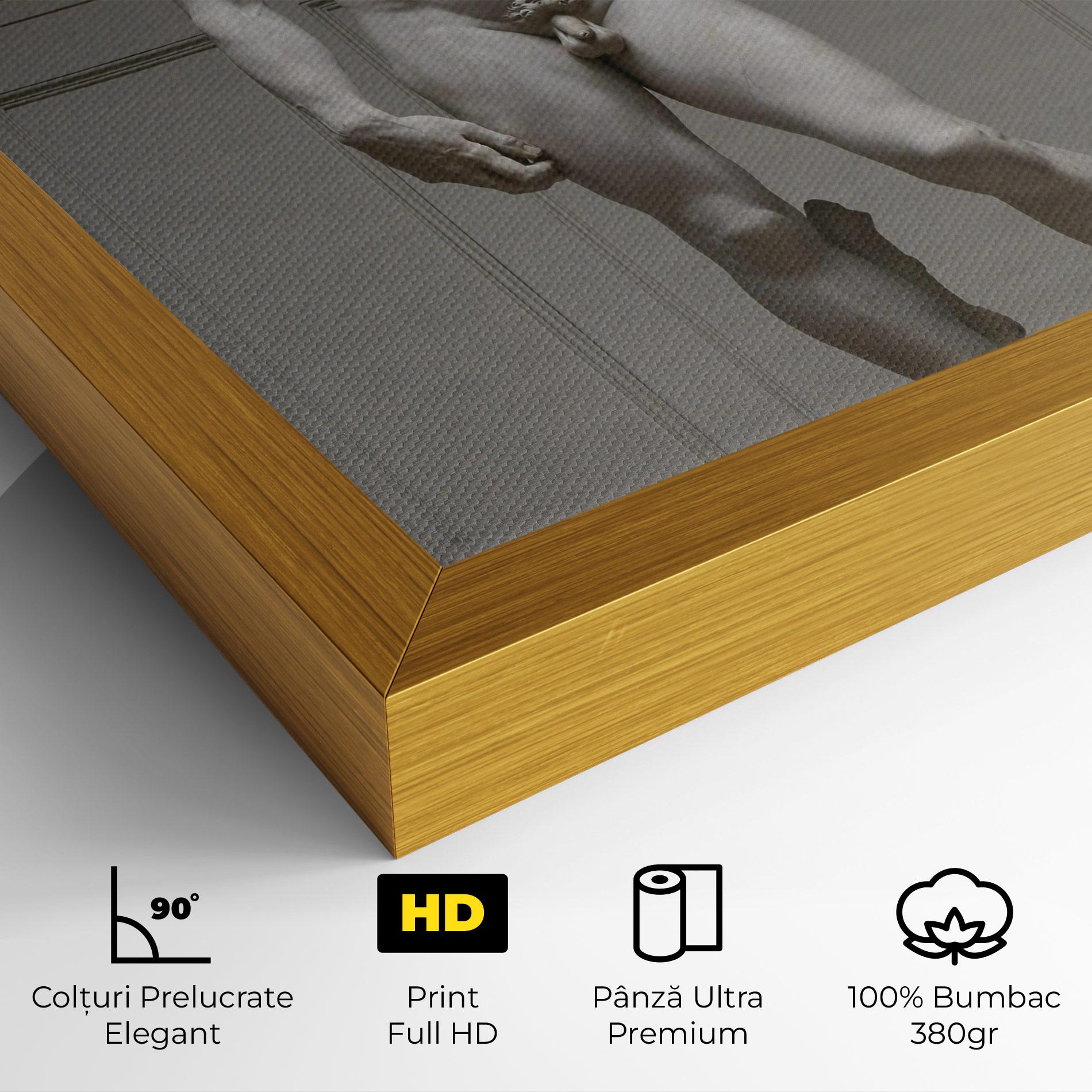 Tablou Canvas Michelangelo Statue mockup 4