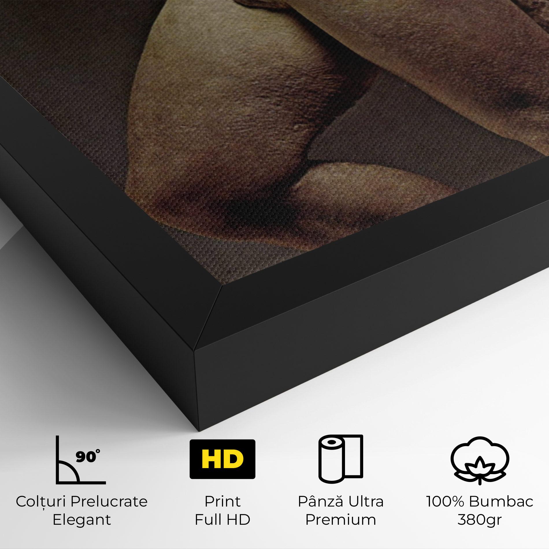 Tablou Canvas Apollino mockup 4