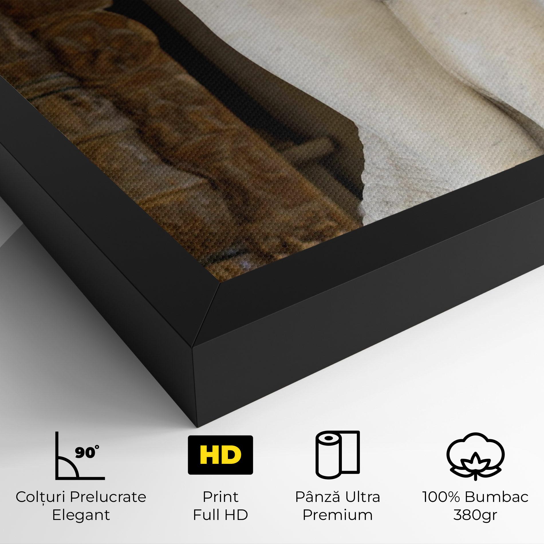 Tablou Canvas Dying Slave mockup 4