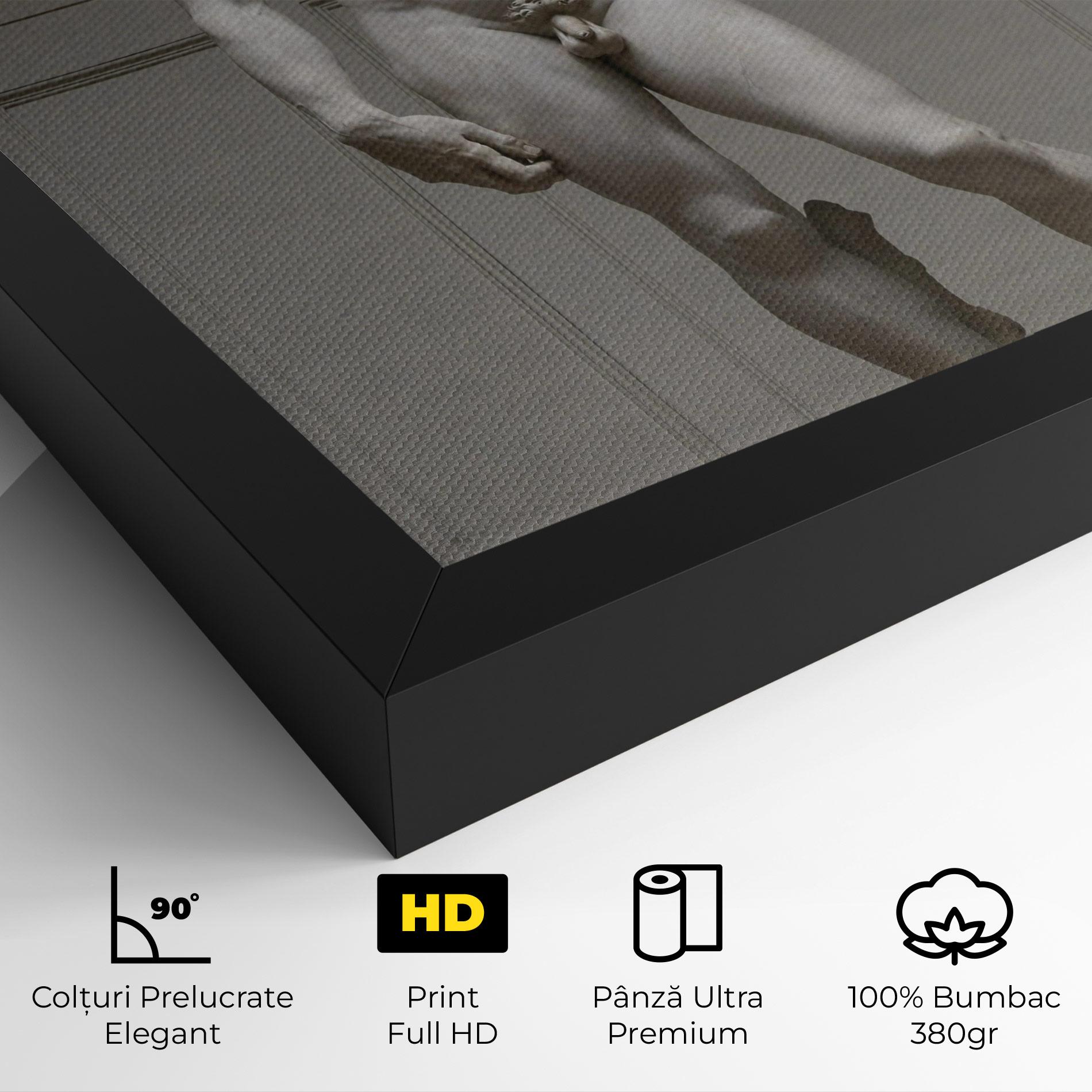 Tablou Canvas Michelangelo Statue mockup 4