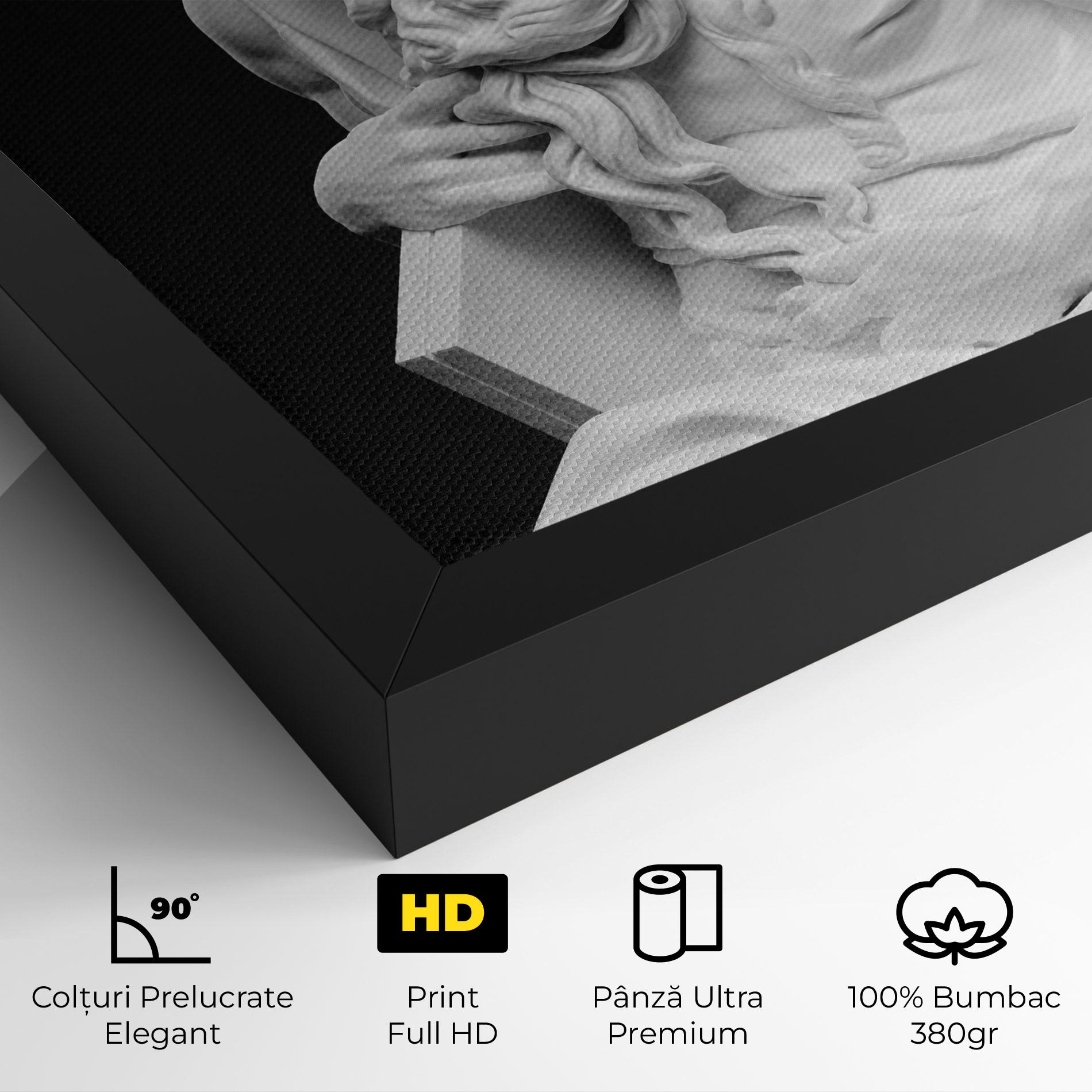 Tablou Canvas Moses Statue mockup 4