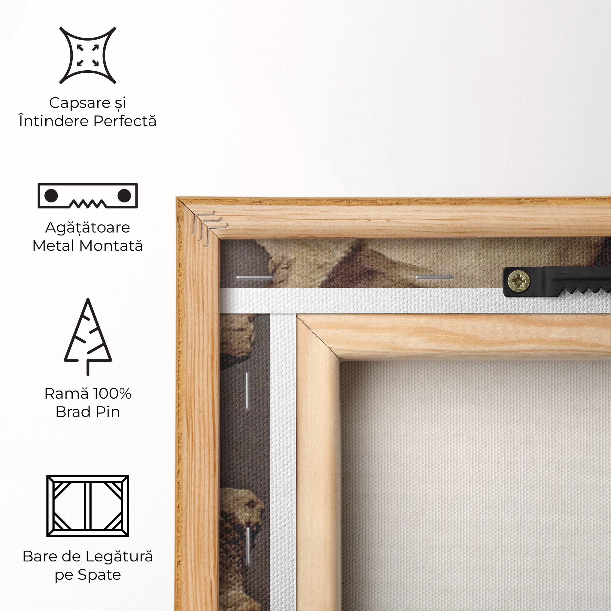 Tablou Canvas Apollino mockup 5