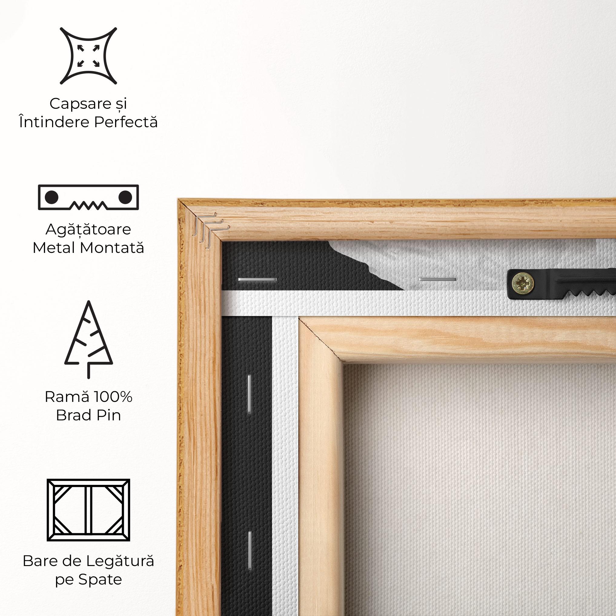 Tablou Canvas David Head mockup 5