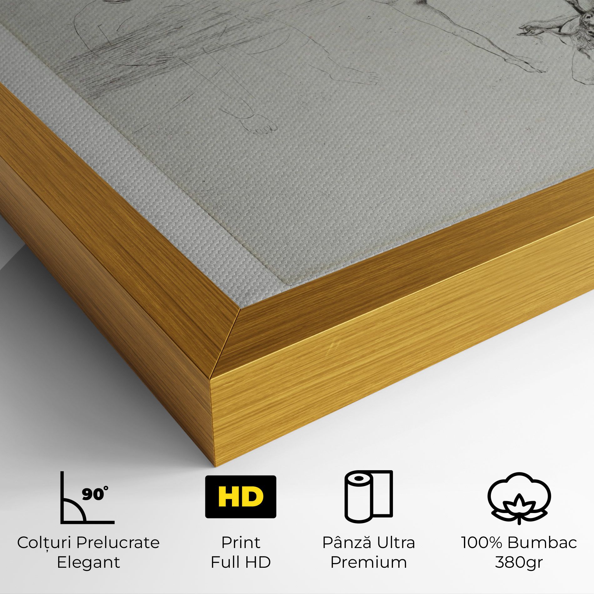 Dance Of Salome mockup 4