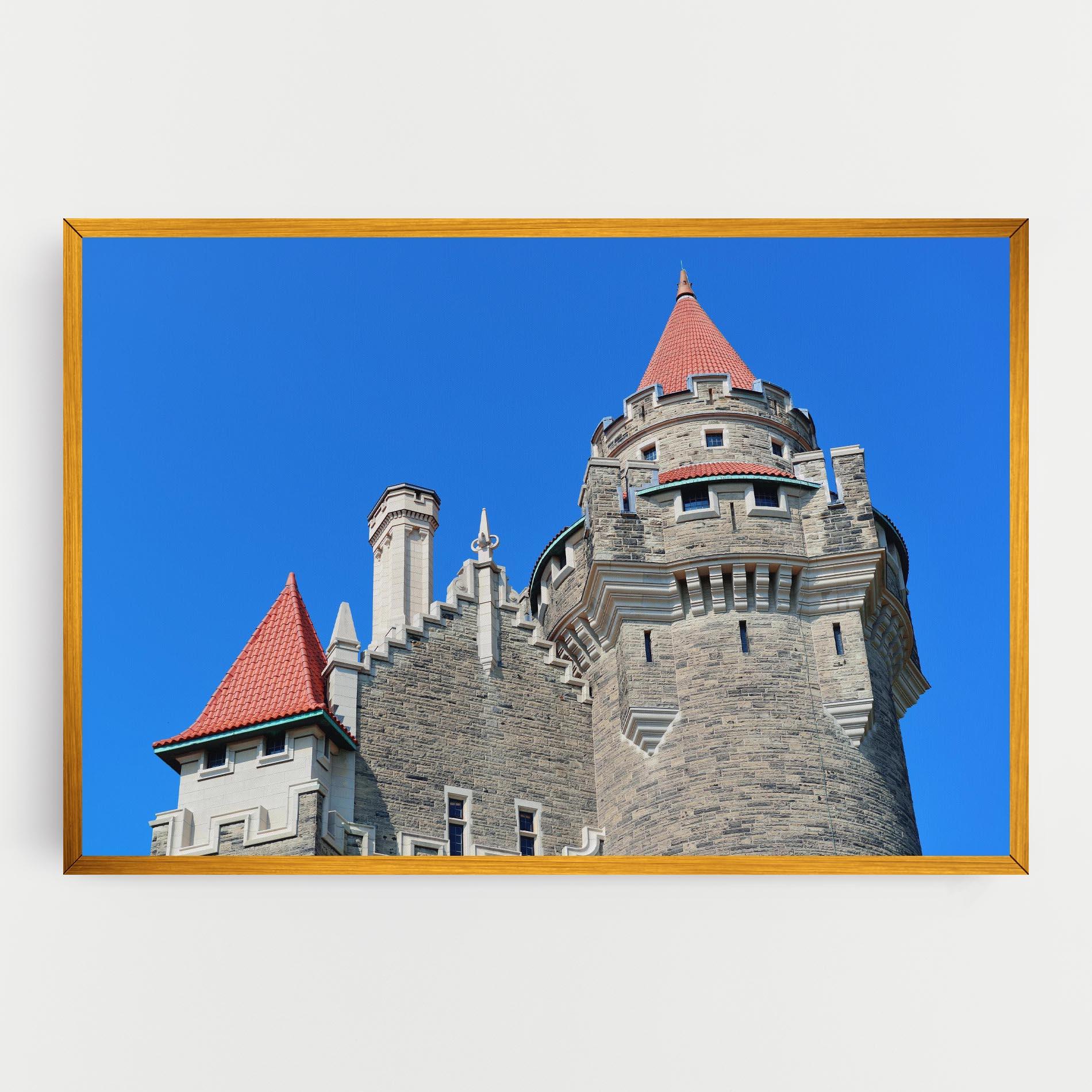 Tablou Canvas Casa Loma mockup 0