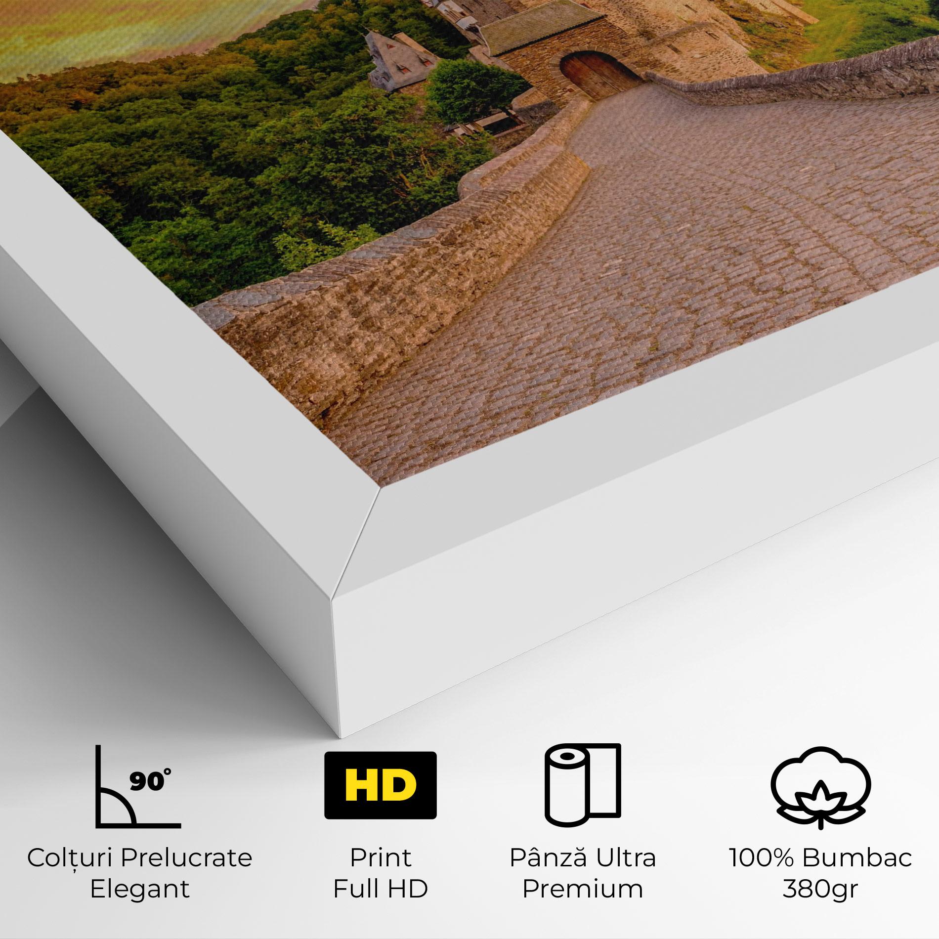 Tablou Canvas Burg Eltz Castle mockup 4