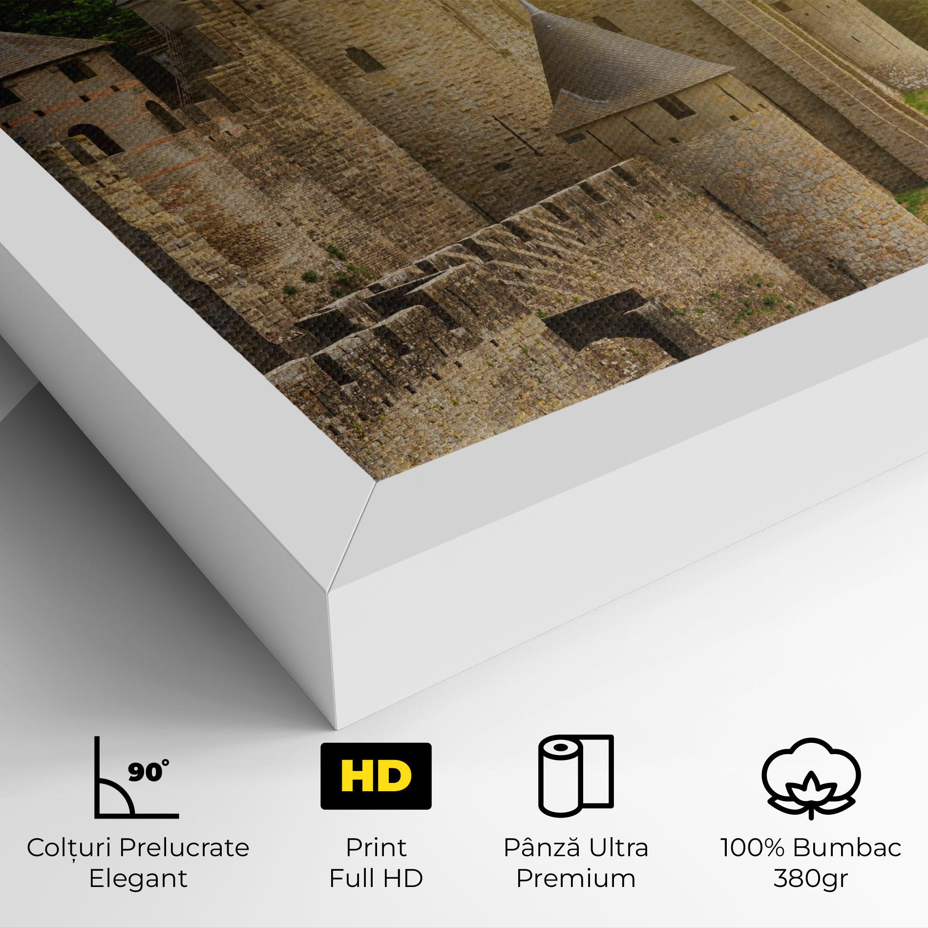 Tablou Canvas Carcassonne France mockup 4