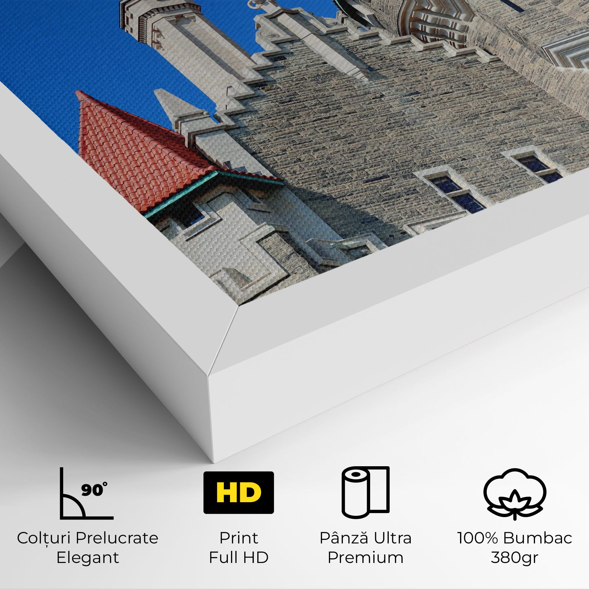 Casa Loma mockup 4