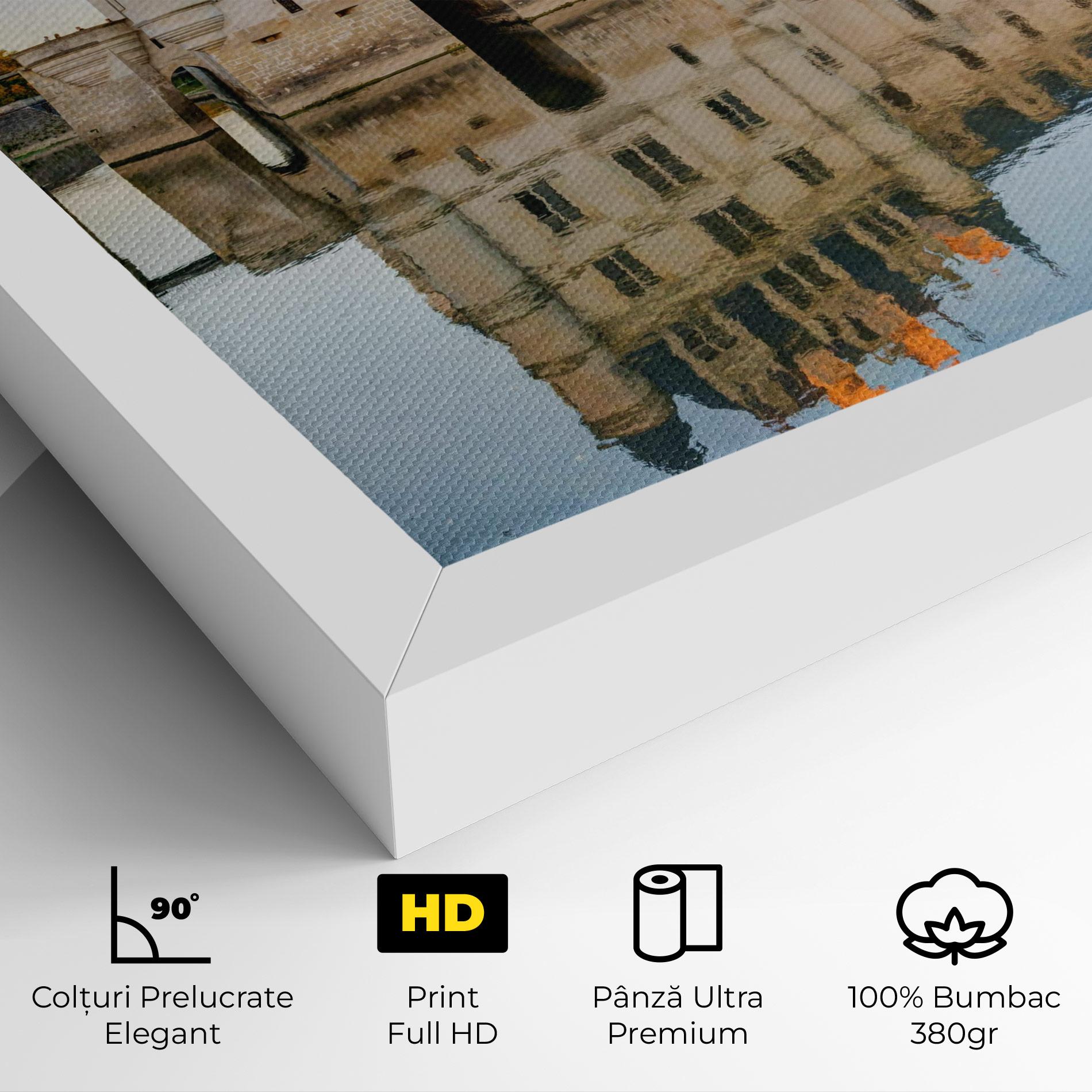 Tablou Canvas Chateau Chenonceau Castle mockup 4