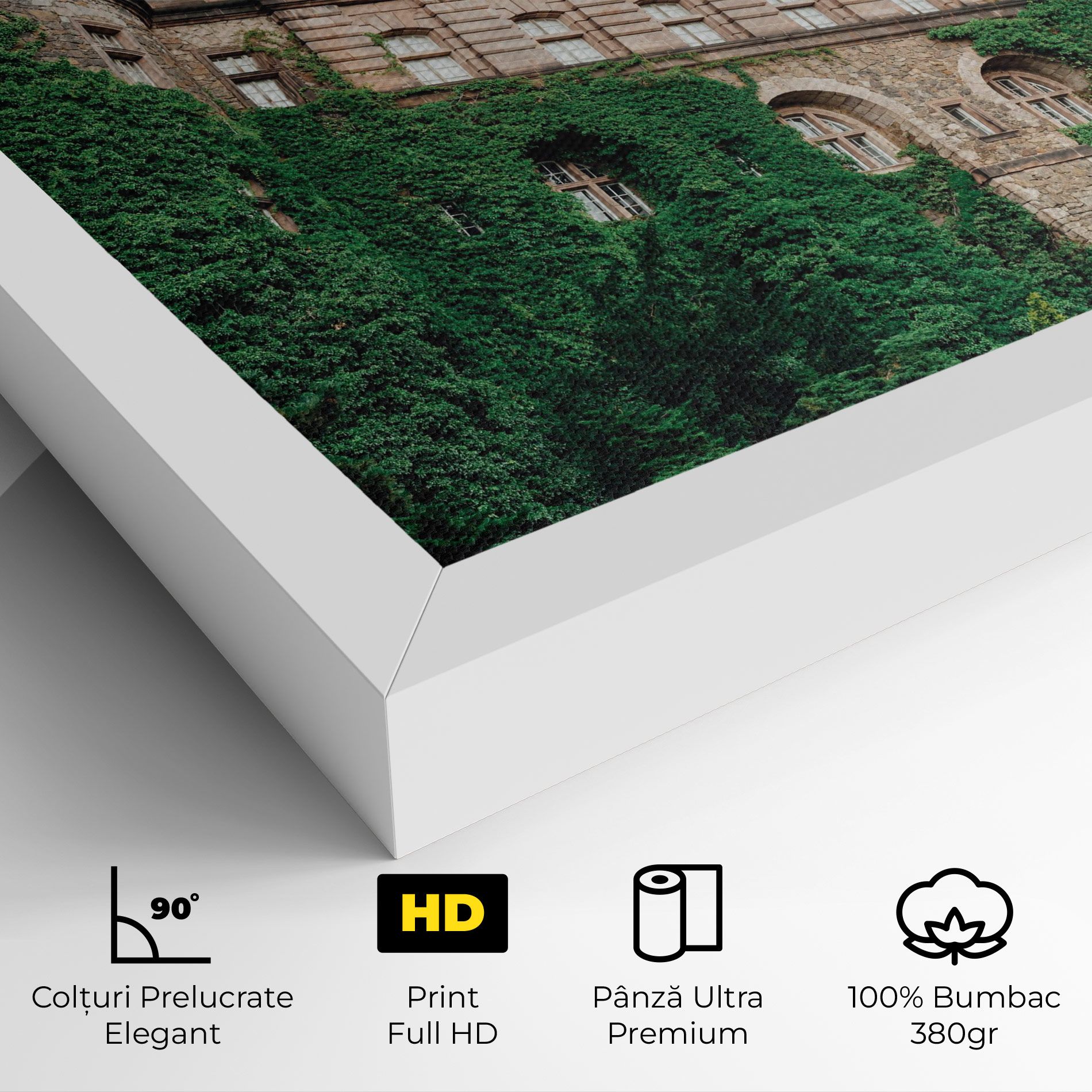 Ksiaz Swiebodzice Poland mockup 4