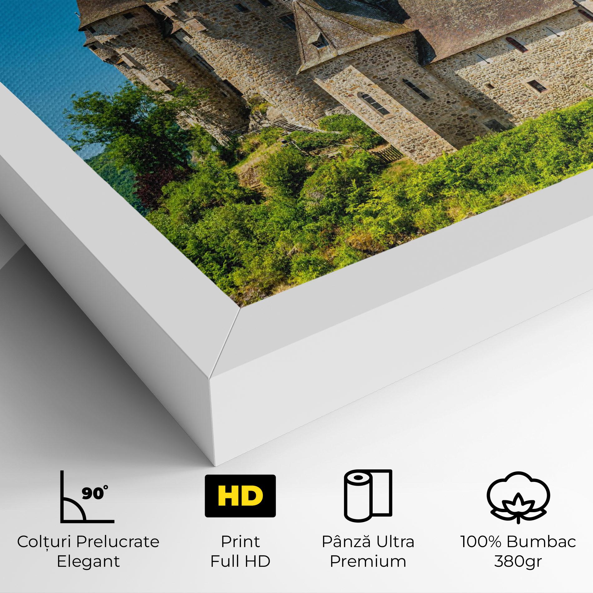 Tablou Canvas Medieval Castle France mockup 4