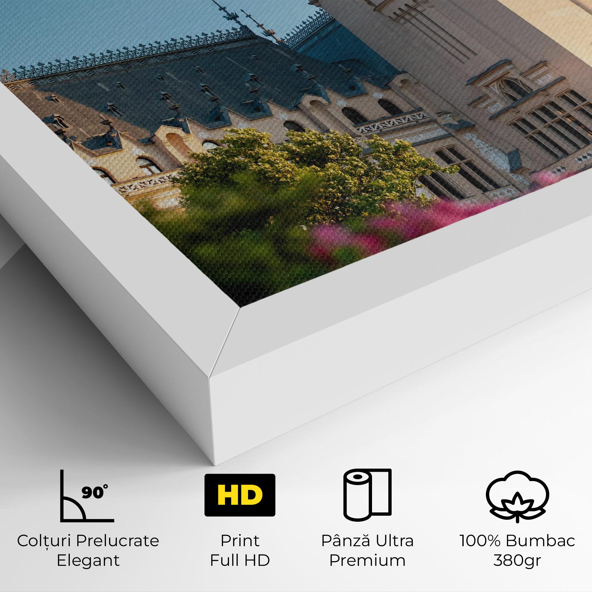 Tablou Canvas Palace Culture Iasi mockup 4