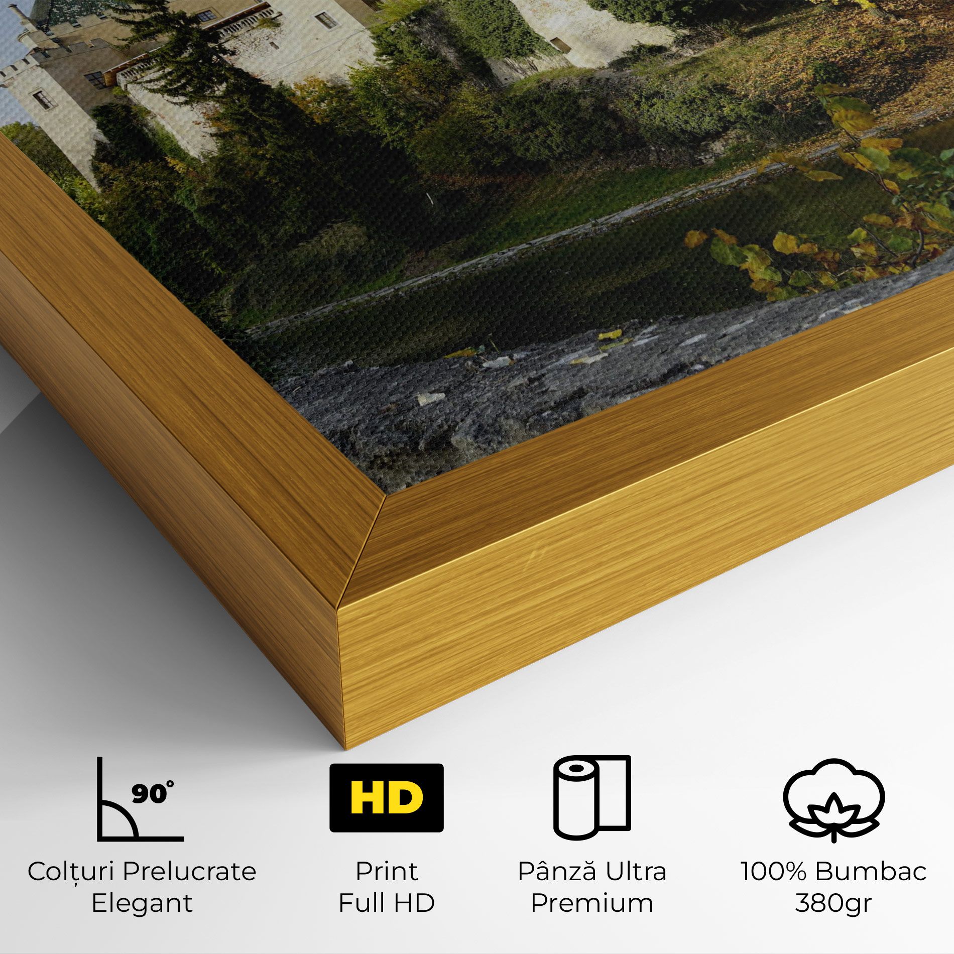 Bojnice Castle Slovakia mockup 4