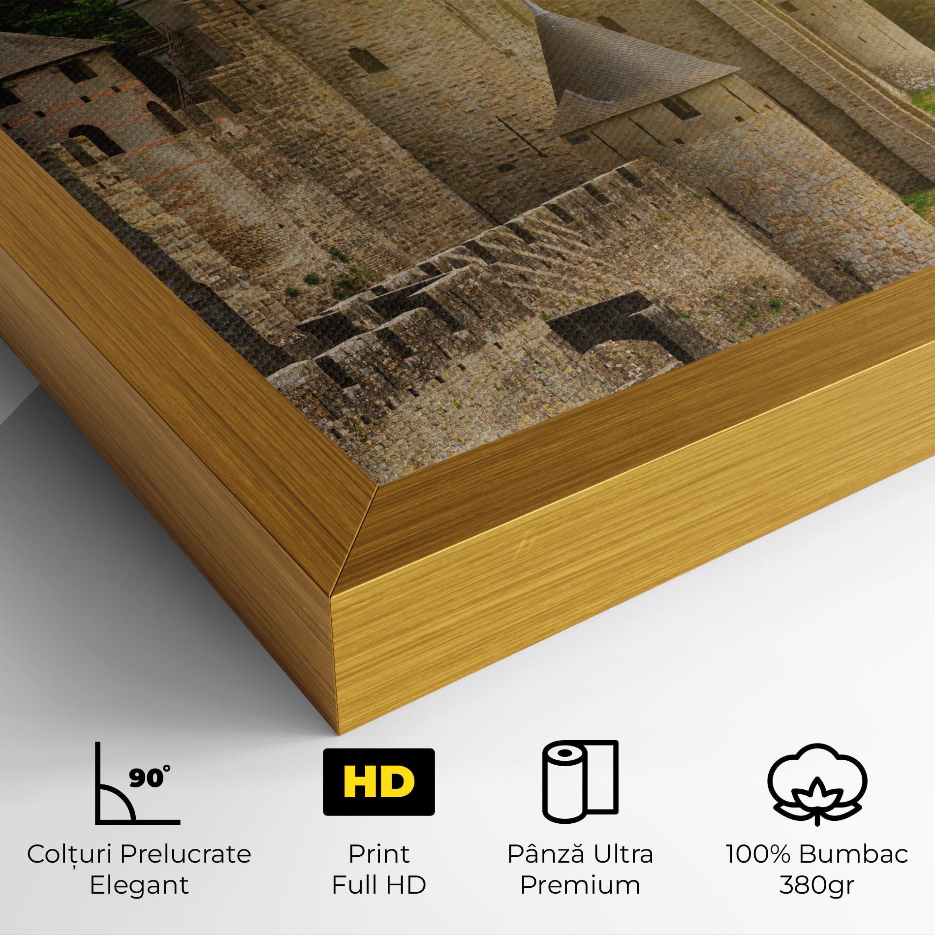 Tablou Canvas Carcassonne France mockup 4