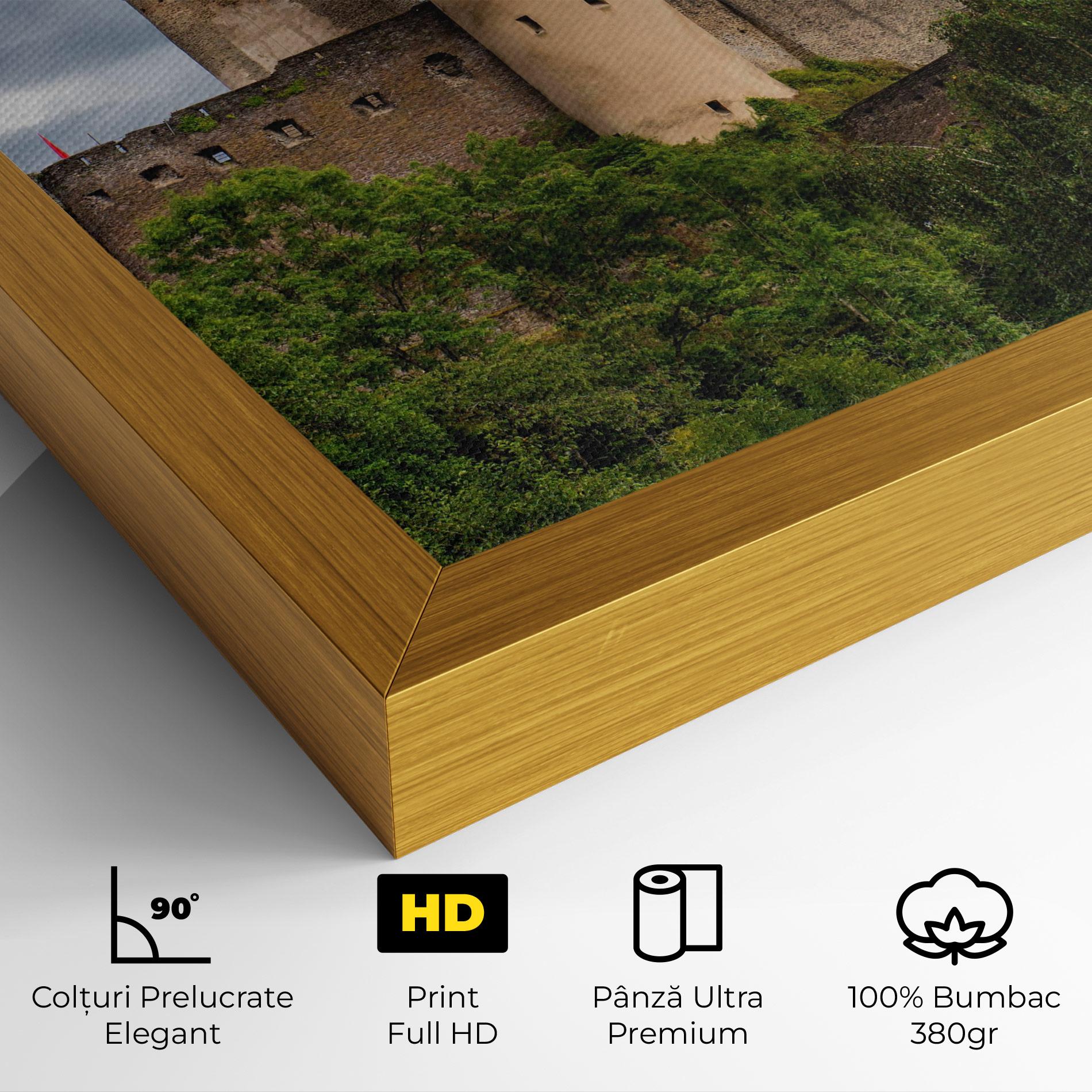 Tablou Canvas Castle Vianden mockup 4