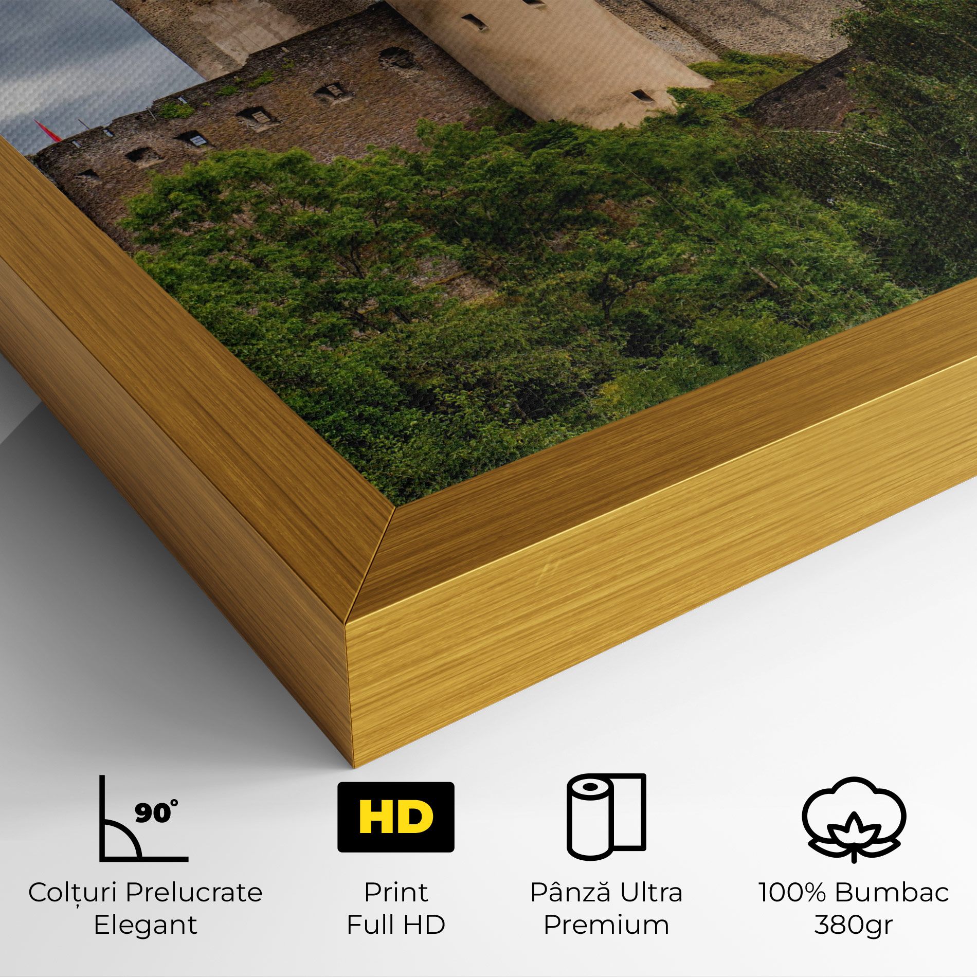 Castle Vianden mockup 4