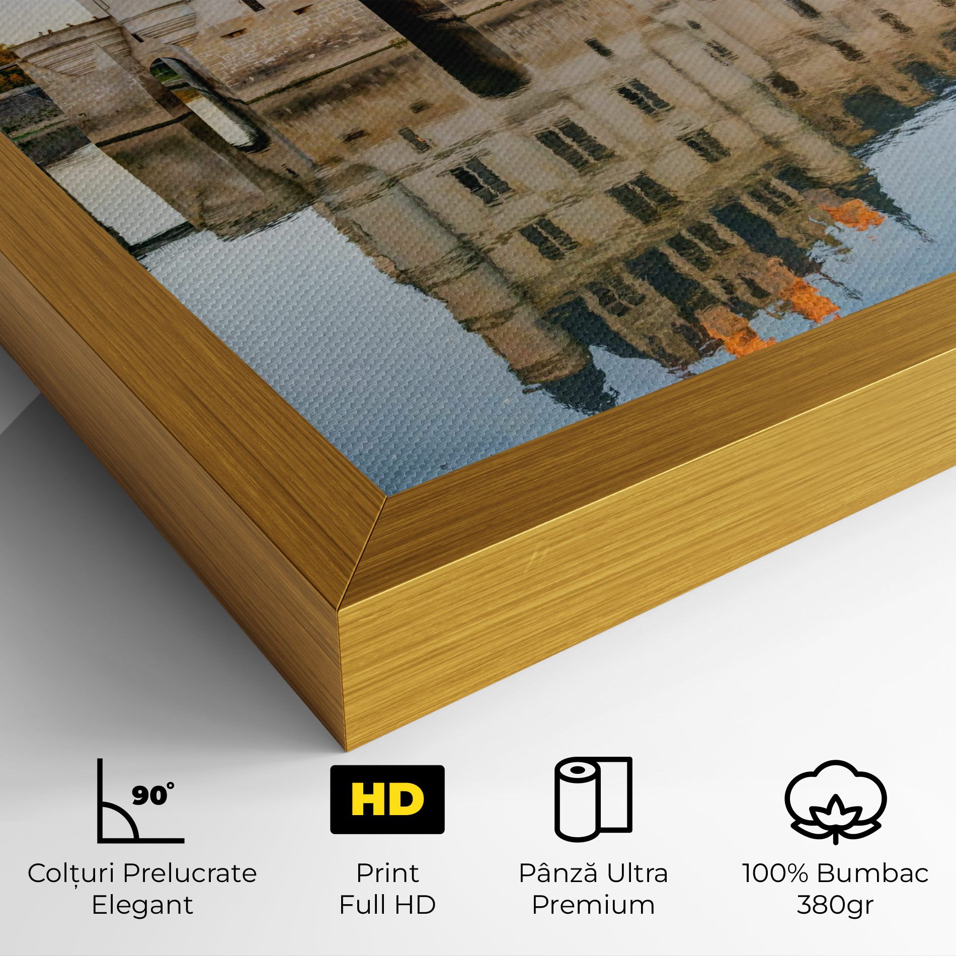 Chateau Chenonceau Castle mockup 4